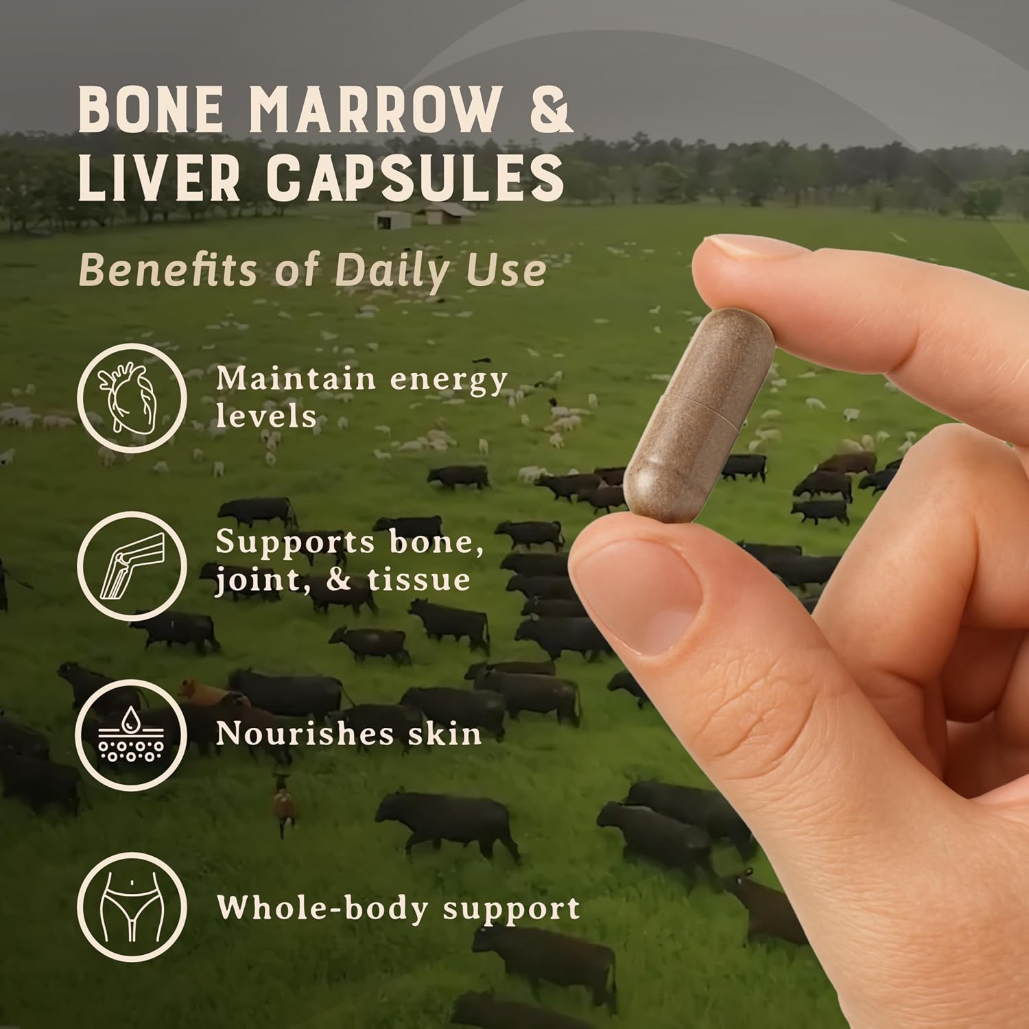 HEART & SOIL Bone Marrow & Beef Liver, 180 Capsules | 100% grass fed & finished from regenerative cattle. Supports bones, joints, tissue & skin. 3000mg for women & men.