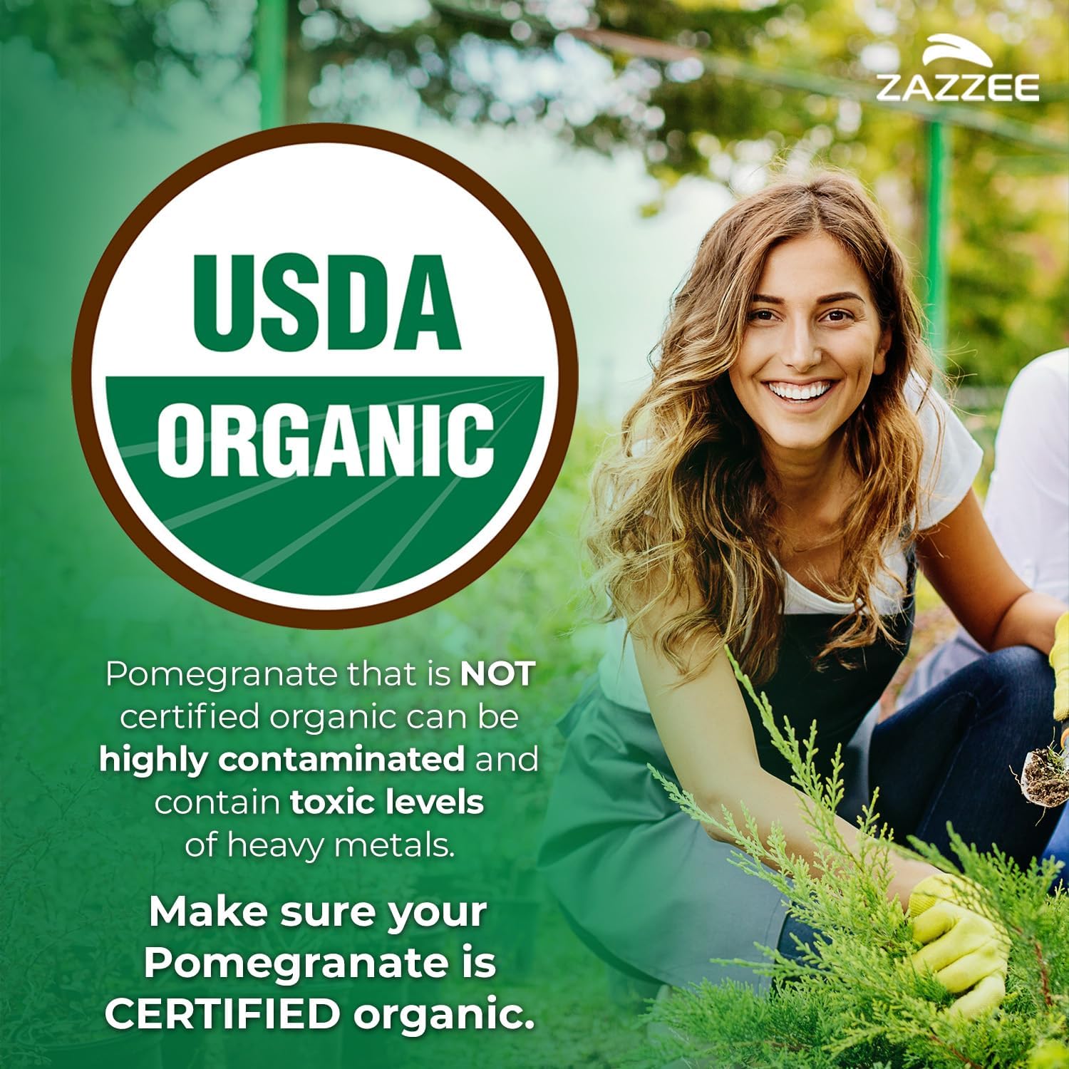 Zazzee USDA Organic Pomegranate 20:1 Extract, 50% Ellagic Acid 100 Capsules | Vegan, 3+ Month Supply, Punica Granatum, Antioxidant, Immune & Polyphenol Support, All-Natural, Non-GMO, Made in the USA
