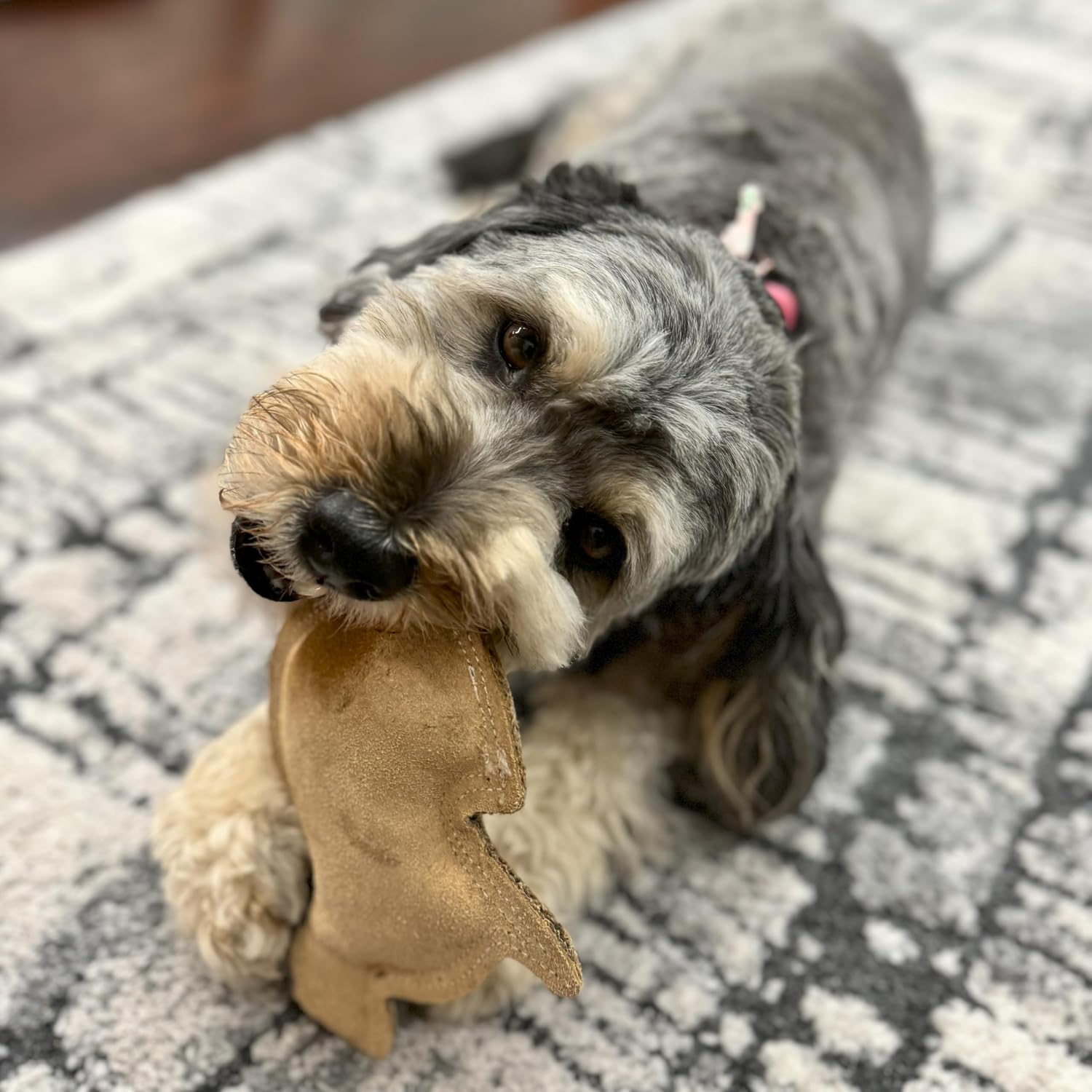 SPOT Dura-Fused Leather Rabbit Dog Toy – Durable Real Leather & Jute Chew Toy with Squeaker, Double-Stitched for Moderate Chewers, Small & Medium Dogs, 7.5in