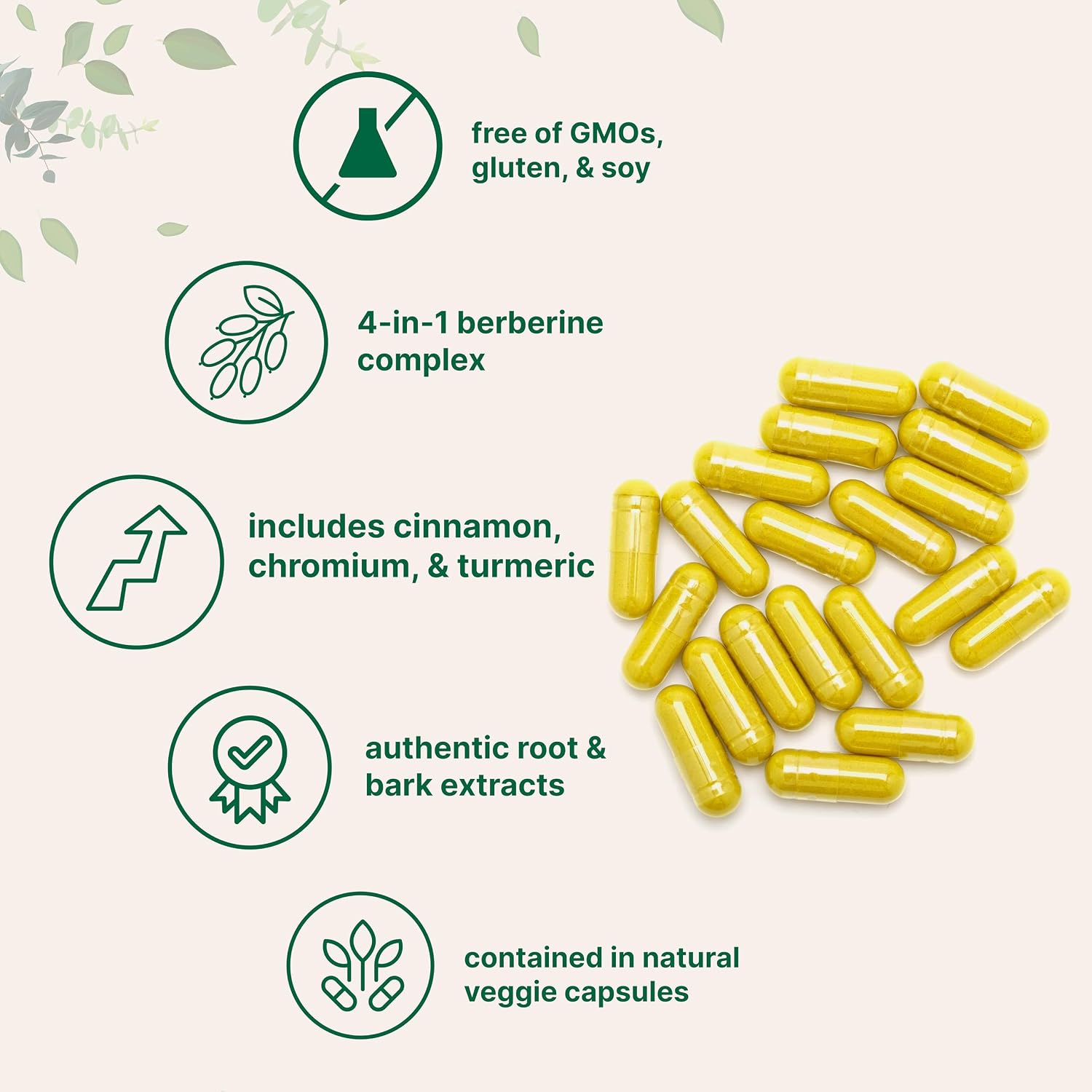 Micro Ingredients Berberine with Ceylon Cinnamon, 240 Veggie Capsules | High Absorption Berberine HCI Supplement + Turmeric Root & Cinnamon Bark Extract | Non-GMO, Gluten Free