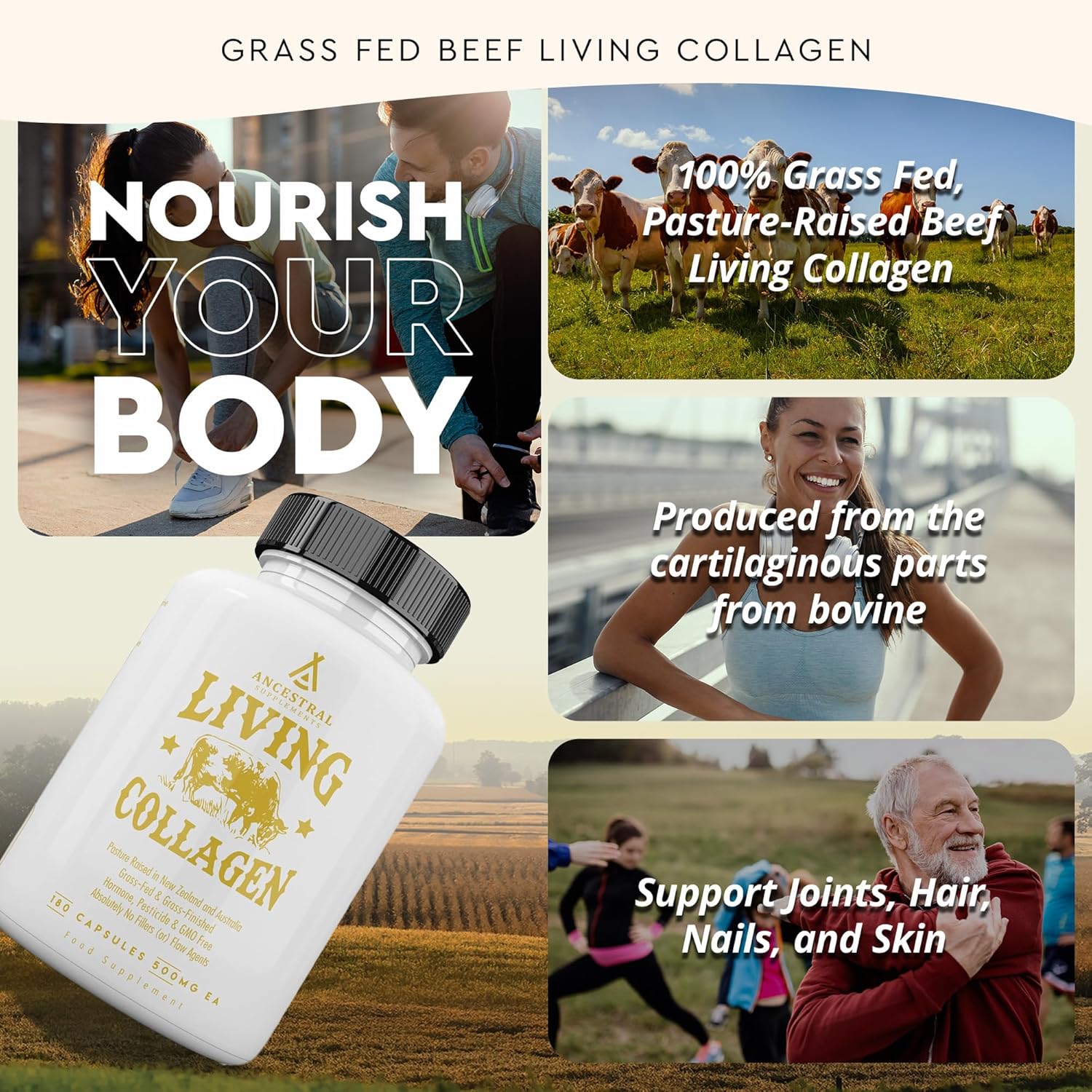 Ancestral Supplements Grass Fed Beef Living Collagen Capsules, 180 Ct | Type II collagen peptides complex in convenient capsules supports healthier, younger-looking skin, hair, nails & joints.