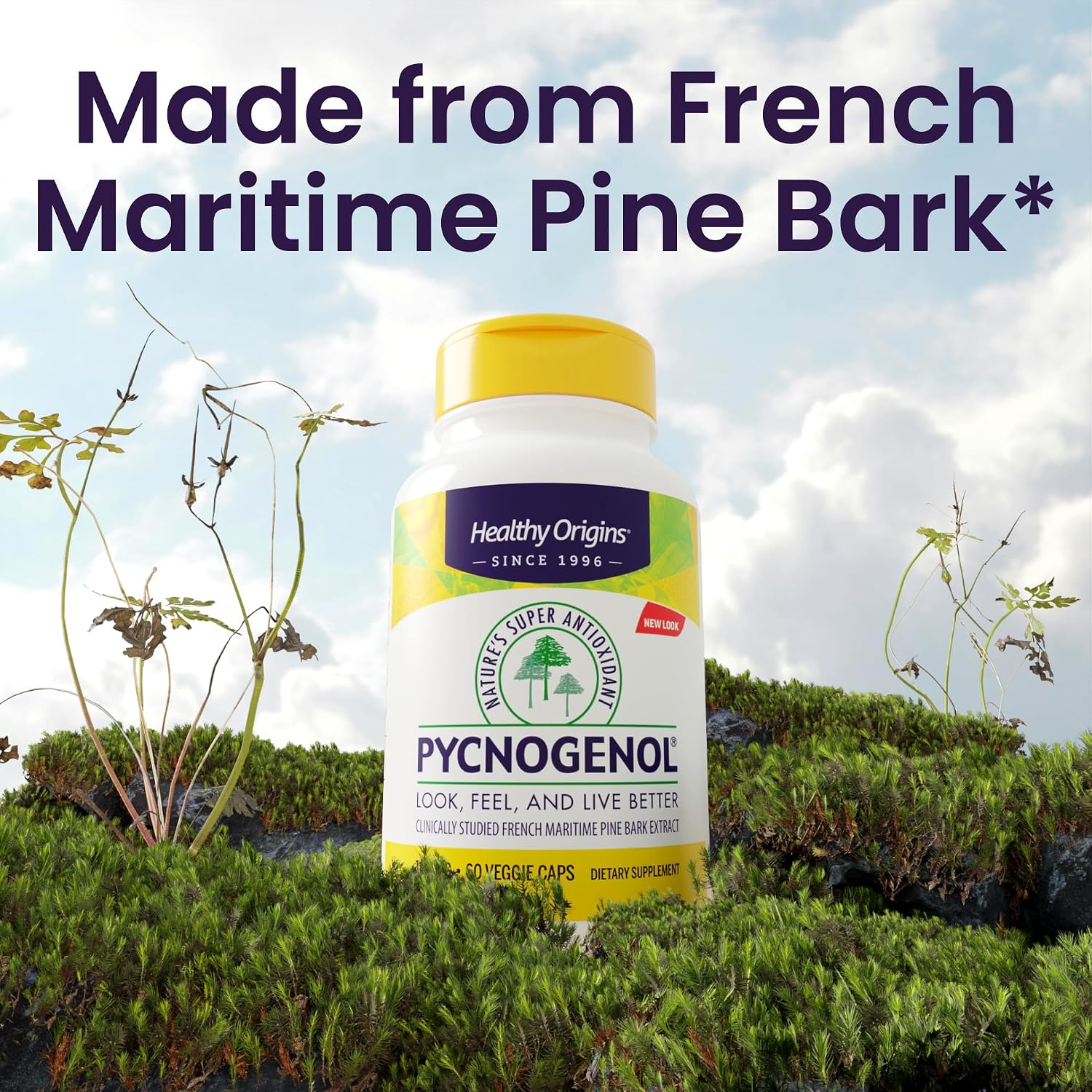 Healthy Origins Pycnogenol Pine Bark 100 mg, 60 Veggie Caps