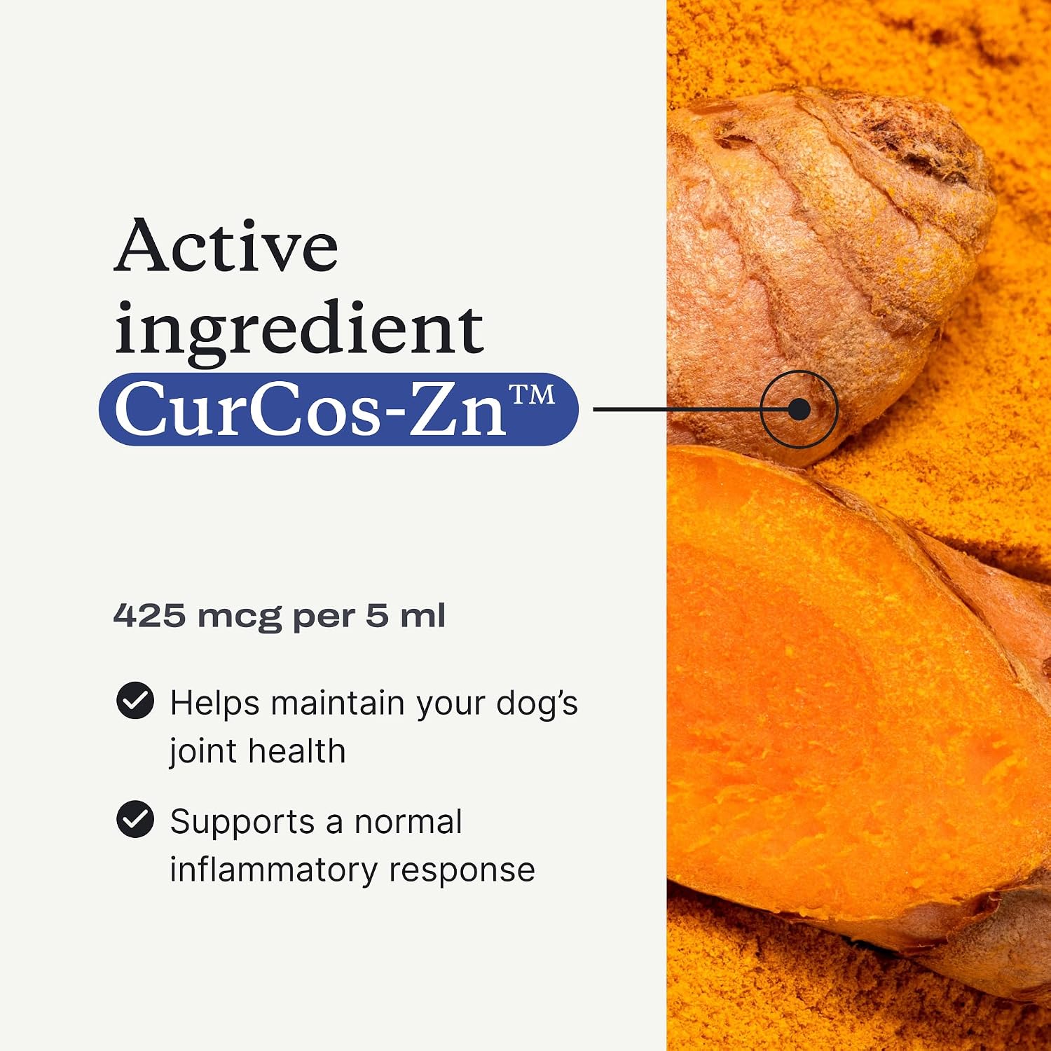 PetLab Co. Mobility Pro Oil for Dogs, Curcumin Joint Oil | Curcumin and zinc liquid formula, pumped onto food daily, to support joint flexibility