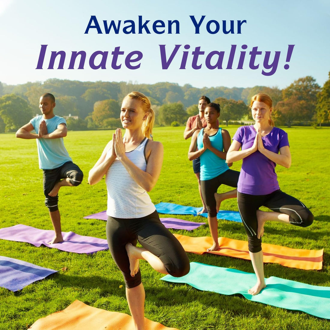Innate Vitality 6-In-1 Magnesium Complex supplement bottle on a white background