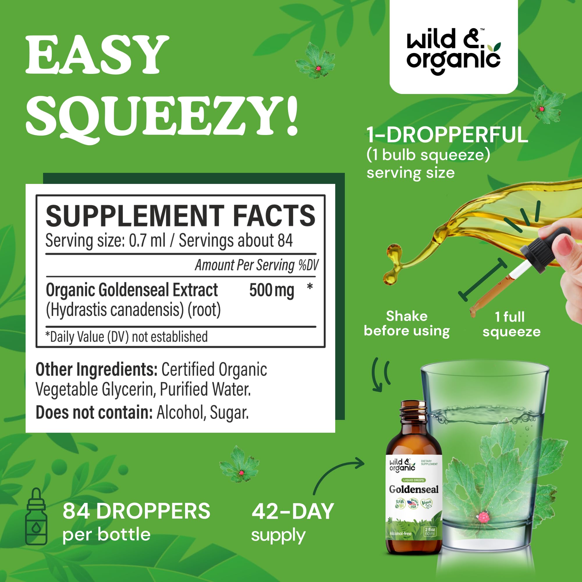Wild & Organic Goldenseal Tincture - Lung & Digestive Support - Goldenseal Root Extract Liquid Drops - Vegan, Sugar & Alcohol-Free Herb Supplement - 4 fl oz