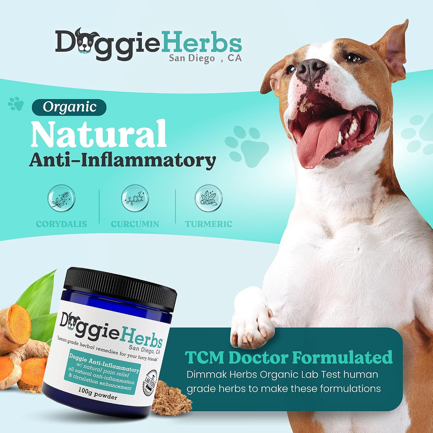 Natural Anti-Inflammatory Support – Clinical Grade Corydalis, Curcumin & Turmeric Blend – TCM Doctor Formulated Powder for Stiffness, Aches & Hip Dysplasia Relief 100g