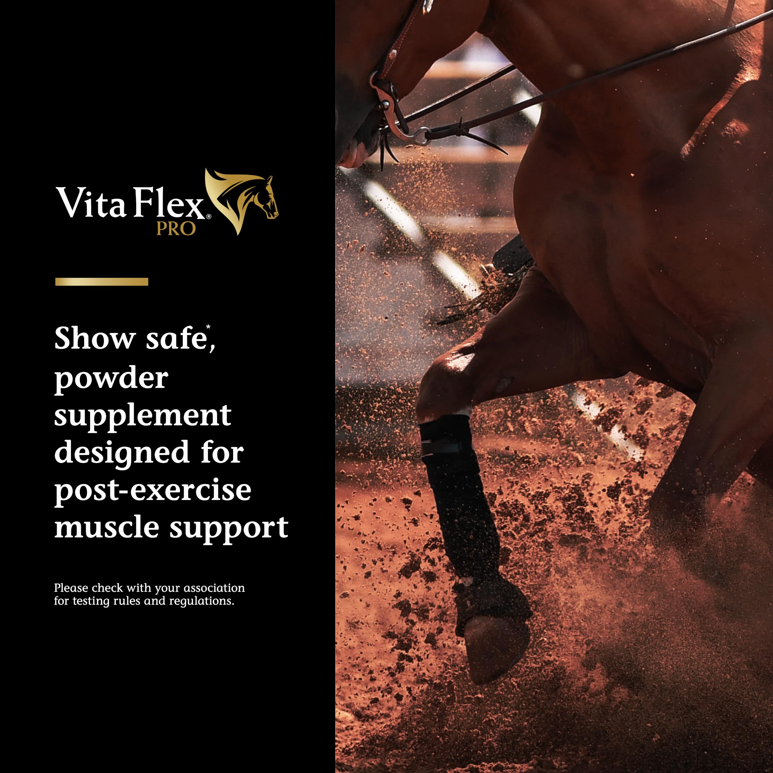 Vita Flex Pro Recovery by the Makers of Lactanase, Post Performance Horse Supplements 40 g, Show Safe Muscle Recovery Supplements, Amino Acids for Horses, Strength & Joint Health Vita FlexBuy Supplements Australia