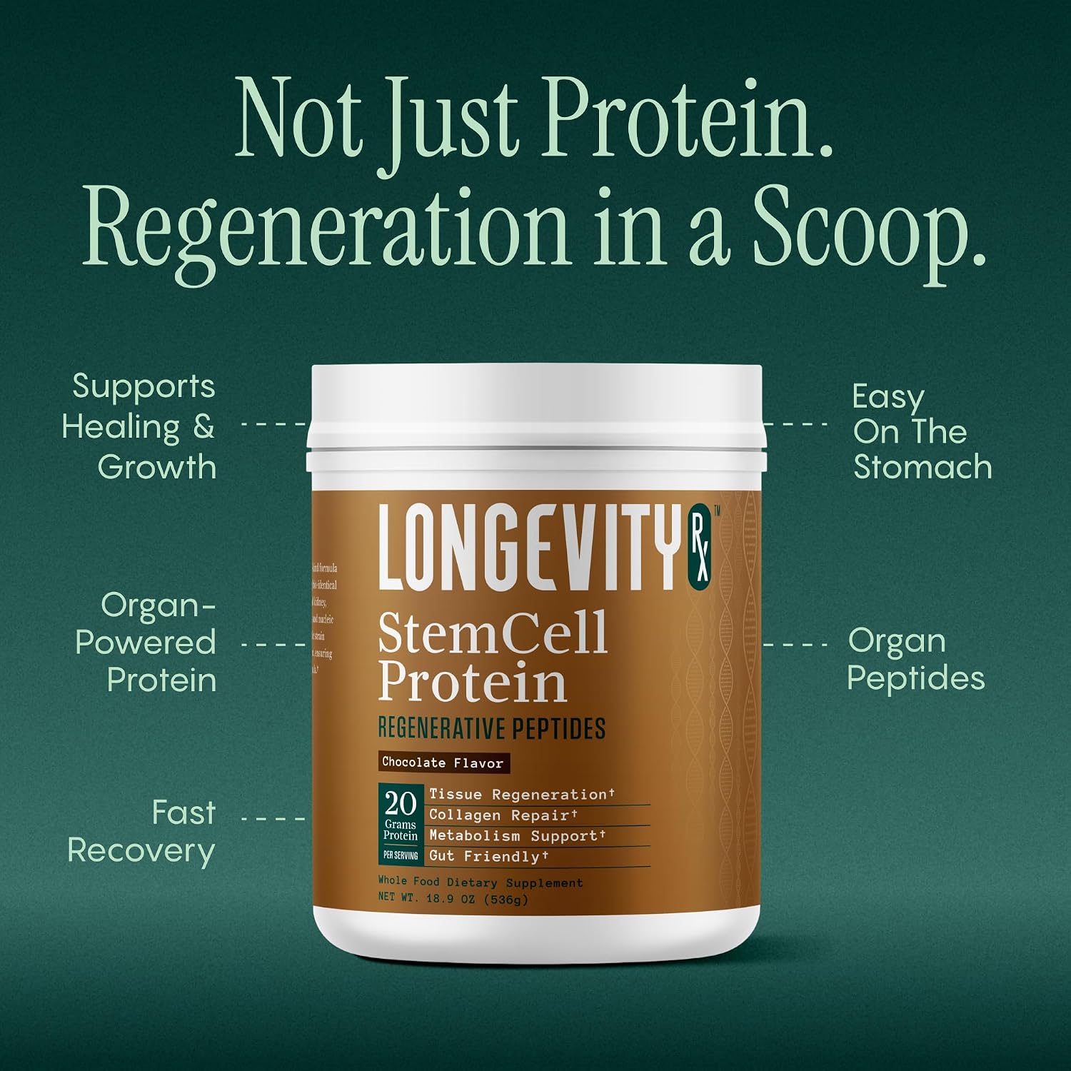 Stem Cell Protein Powder Chocolate – Bone Marrow & Bone Broth Protein, Bacillus Subtilis AB-22, Natural Peptides – Cellular Recovery – 30 Servings