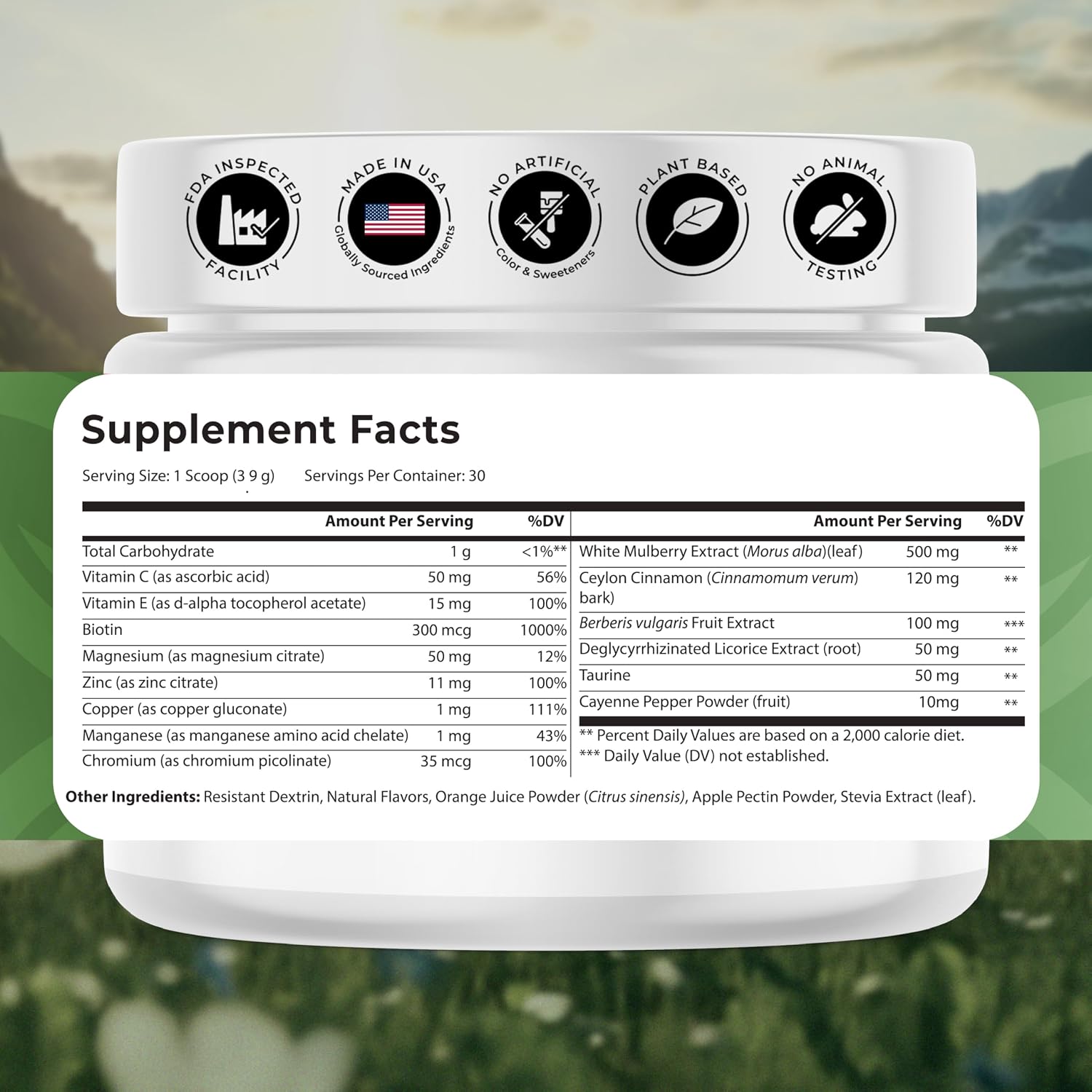 Gluco-Powder | Metabolic Wellness Blend for Energy & Vitality | White Mulberry Extract & Ceylon Cinnamon, Metabolic Wellness Blend, Energy & Vitality. 30 Days Supply. Orange Cinnamon flavor