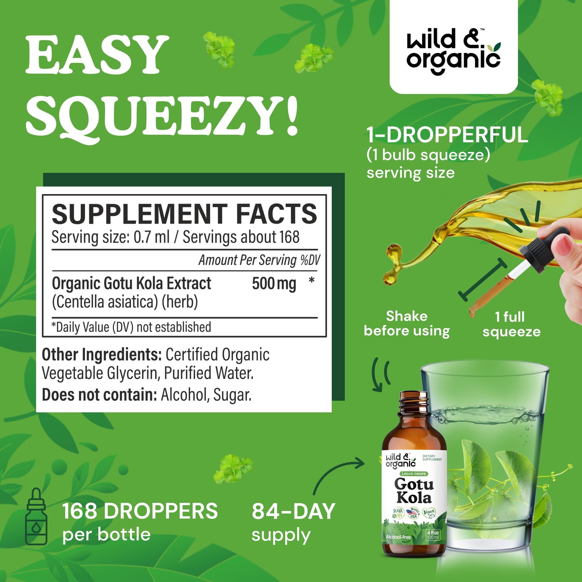 Wild & Organic Gotu Kola Extract Drops - Brain Support with Centella Asiatica Extract - Liquid Gotu Kola Supplement for Focus - Vegan, Sugar & Alcohol-Free Herb Tincture - 4 fl oz
