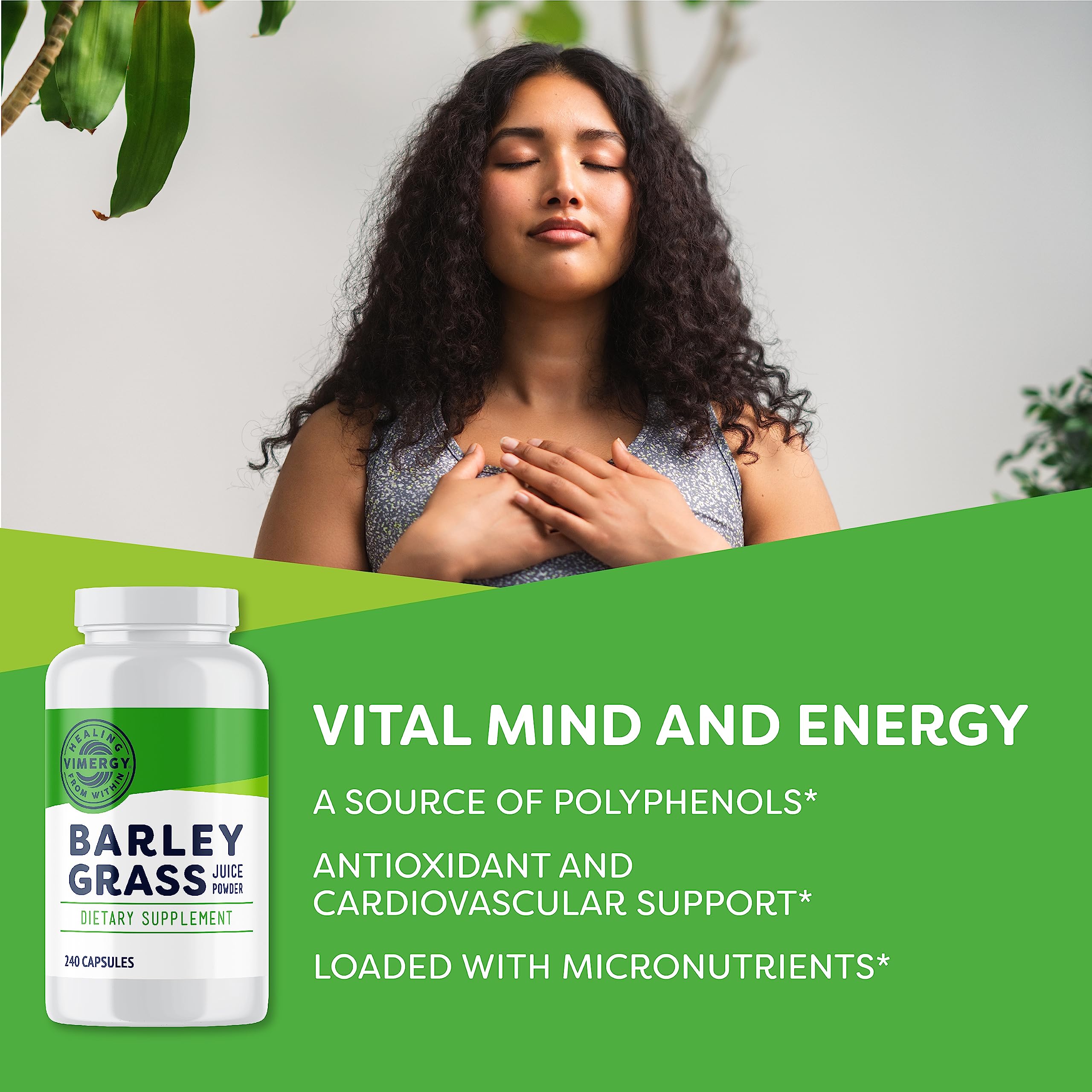 Vimergy Barley Grass Juice Powder Dietary Supplement - 4g per Serving (62 Servings) – Clean Superfood – Promotes Cardiovascular Health* – Organic, Vegan & Gluten-Free – Regular Size 250g