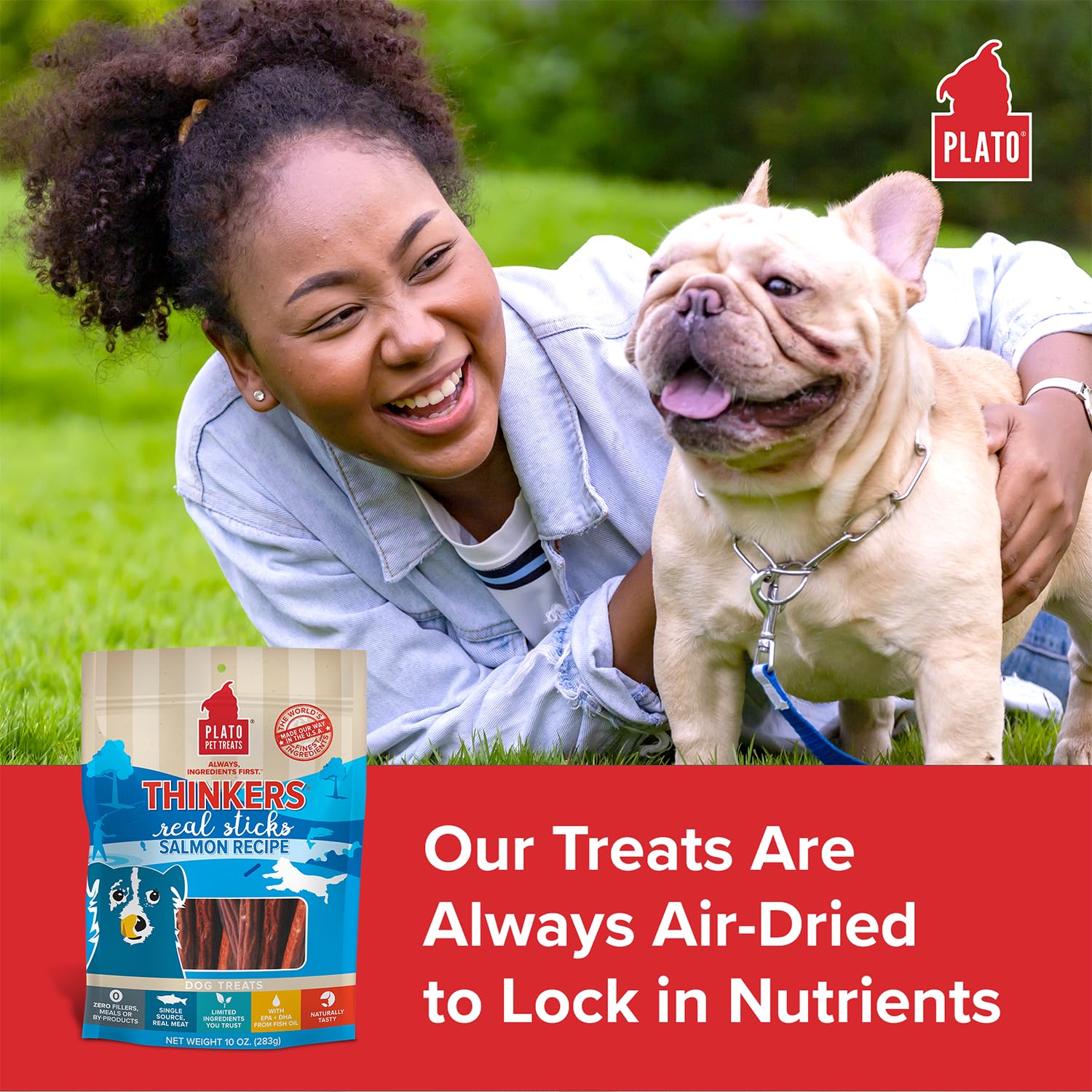 Plato Pet Treats Thinkers - Meat Stick Treats for Dogs - Limited Ingredient with EPA and DHA to Support Skin, Coat, and Brain - Air-Dried - Thinkers Salmon 10oz - 2 Pack