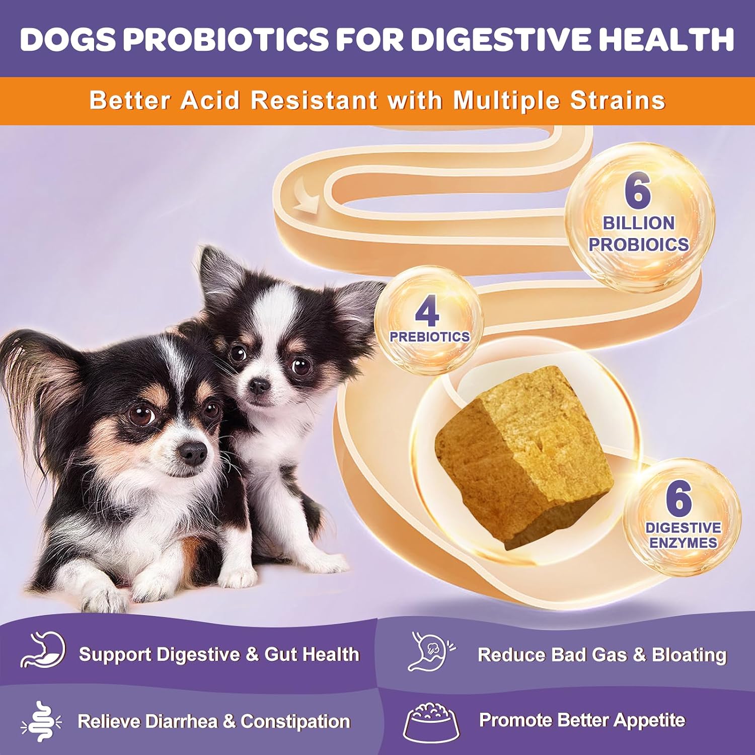 NATURE TARGET Probiotics for Dogs, 6 Billion CFUs, Freeze Dried, 180 Chews | 12 Strains with Prebiotics & Digestive Enzymes, Diarrhea & Gas Relief, Supports Immune & Gut, Allergy Relief, Chicken Flavor