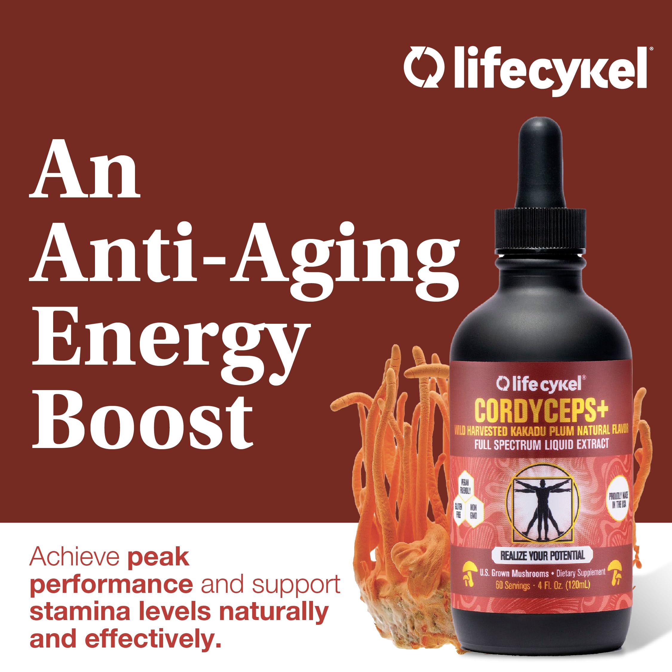 Life Cykel Cordyceps Mushroom Extract with Kakadu Plum - Energy, Stamina & Vitality Support, Natural Aging Supplement - Non-GMO and Vegan Tincture - 4Fl Oz