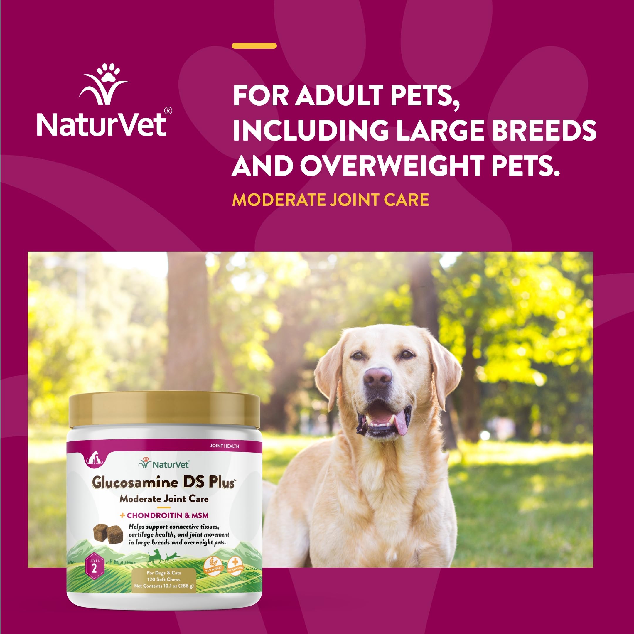 NaturVet – Glucosamine DS Plus - Level 2 Moderate Care – Supports Healthy Hip & Joint Function – Enhanced with Glucosamine, MSM & Chondroitin – for Dogs & Cats–120 Soft Chews NaturVetBuy Supplements Australia