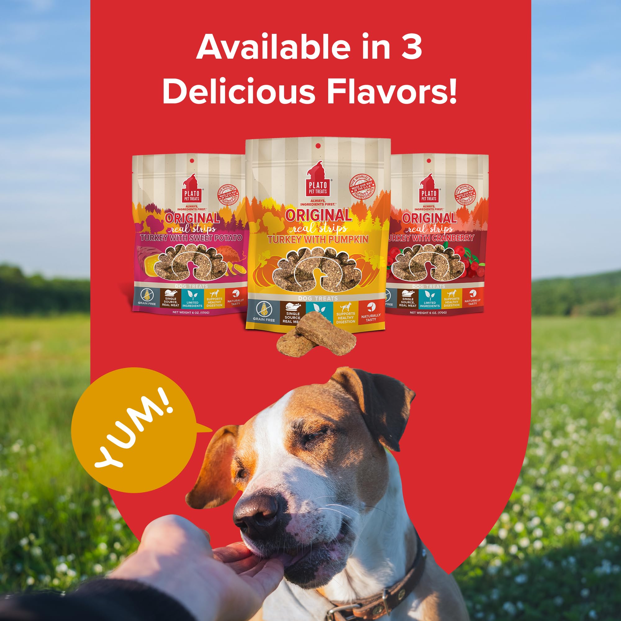 Plato Pet Treats Real Strips - Air-Dried Meat Bars for Dogs - Delicious, Limited Ingredient Dog Treats - Grain Free - Original Real Strips Turkey & Pumpkin 18oz - 2 Pack