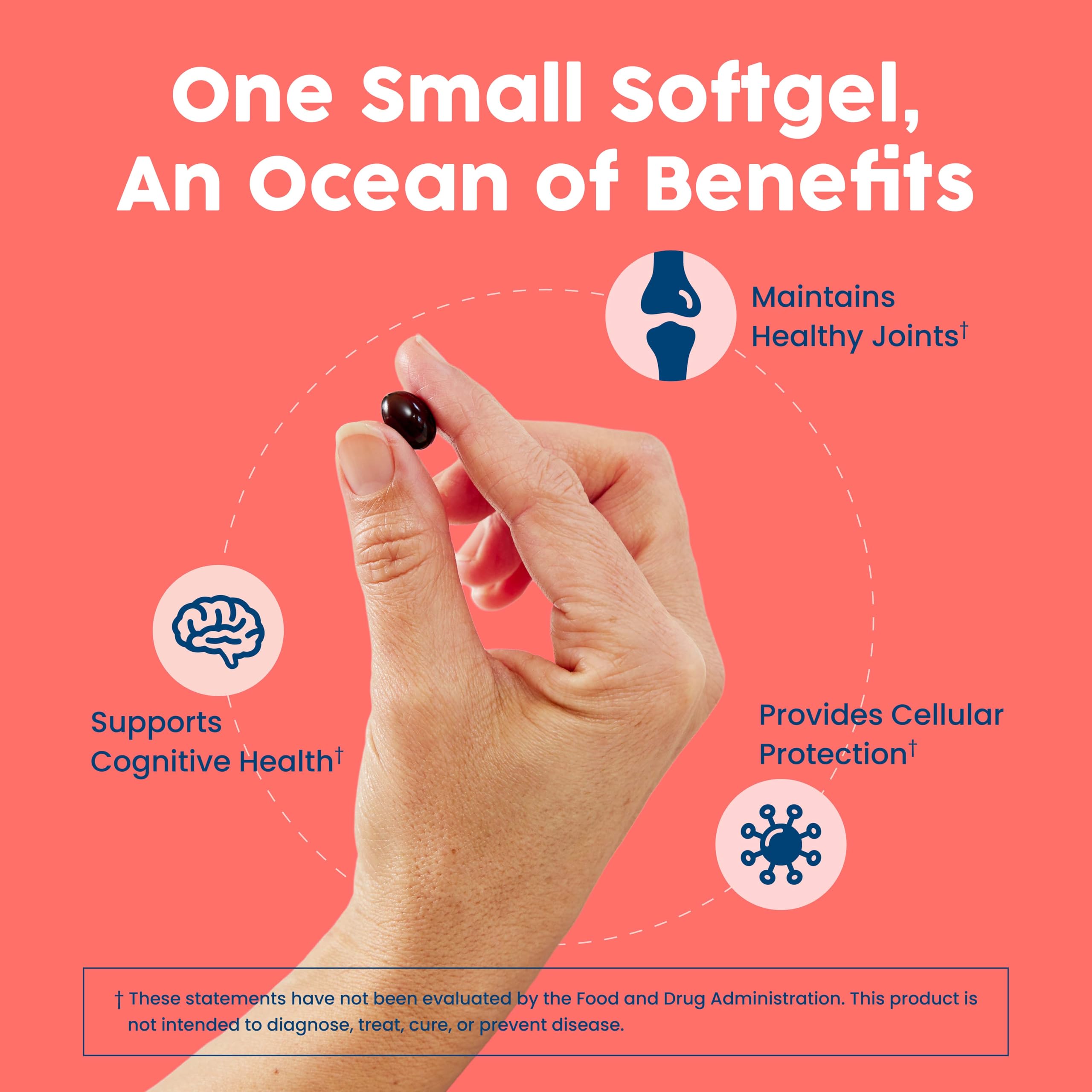 NativePath Antarctic Krill Oil 500mg, Omega-3, 60 Softgels | Wild-Caught, Astaxanthin, EPA & DHA Phospholipid-Bound, Supports Circulatory, Brain & Joint Health