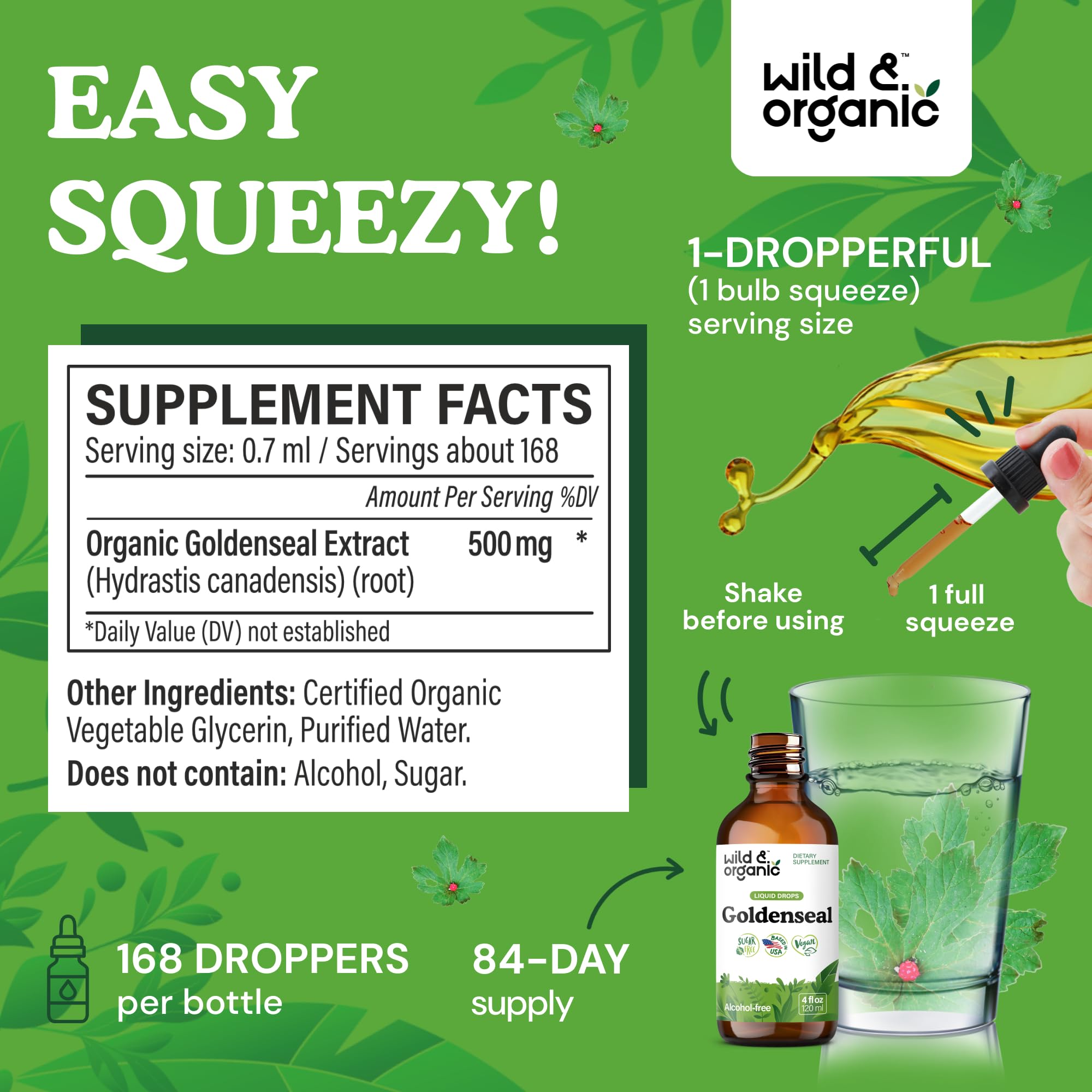 Wild & Organic Goldenseal Tincture - Lung & Digestive Support - Goldenseal Root Extract Liquid Drops - Vegan, Sugar & Alcohol-Free Herb Supplement - 4 fl oz