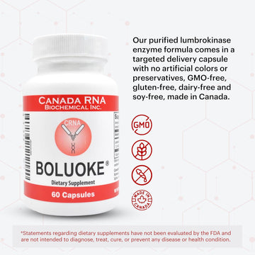 Boluoke Canada RNA Lumbrokinase Enzyme Supplement - Traditionally Inspired Circulatory Wellness Formula - Targeted Delivery Capsules - 60 Capsules