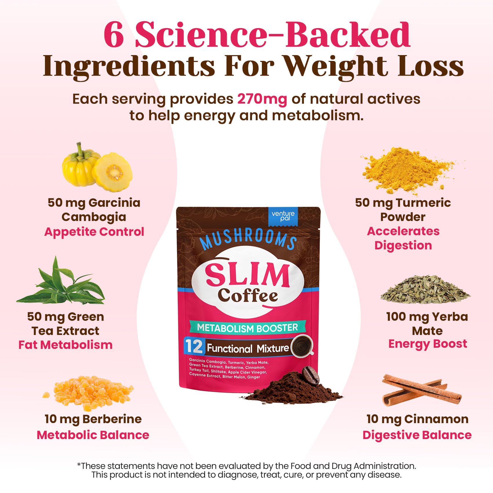 Venture Pal Mushroom Coffee, 12 Mushrooms, Focus & Digestion, 40 Servings | 12 Adaptogenic Mushrooms with Lion's Mane, Cordyceps, Reishi, Turkey Tail, Ashwagandha & Probiotics, Low Caffeine & Calories