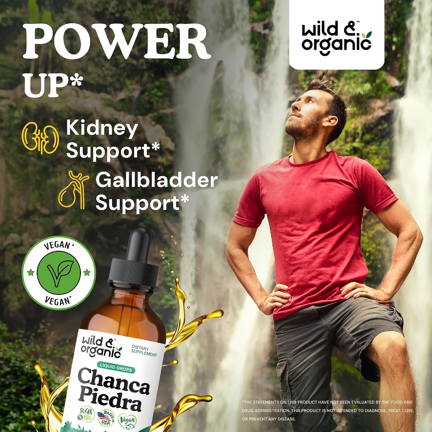Wild & Organic Chanca Piedra Stone Breaker Drops - Kidney, Gallbladder & Urinary Support - Chanca Piedra Liquid Extract for Fast Absorption - Add to Tea Herb Tincture - Sugar & Alcohol-Free - 4 oz