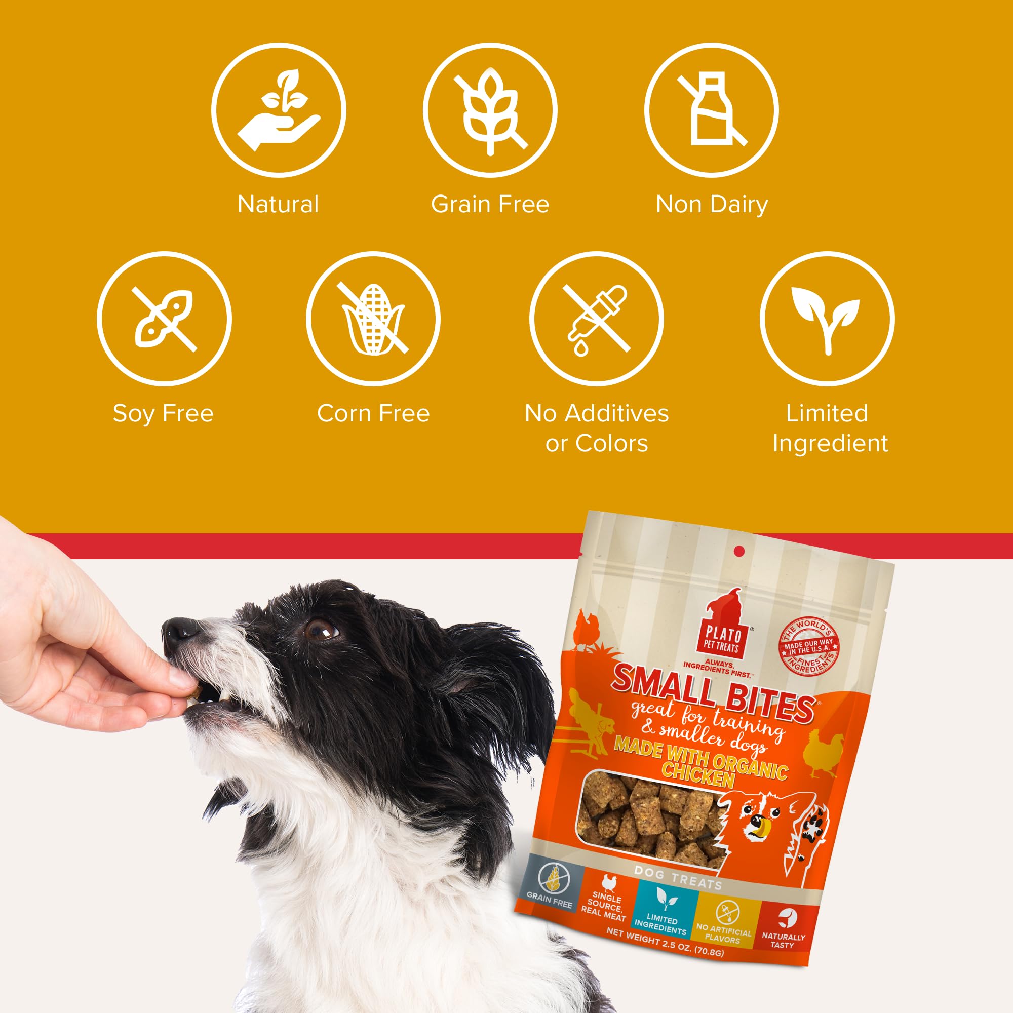 PLATO Pet Treats Small Bites - Air-Dried Training Treats for Dogs - Supports Healthy Digestion - Limited Ingredients - Organic Chicken 6oz - 2 Pack