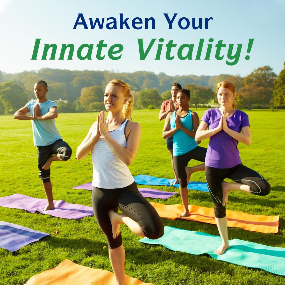 Innate Vitality Magnesium Complex supplement bottle on a white background