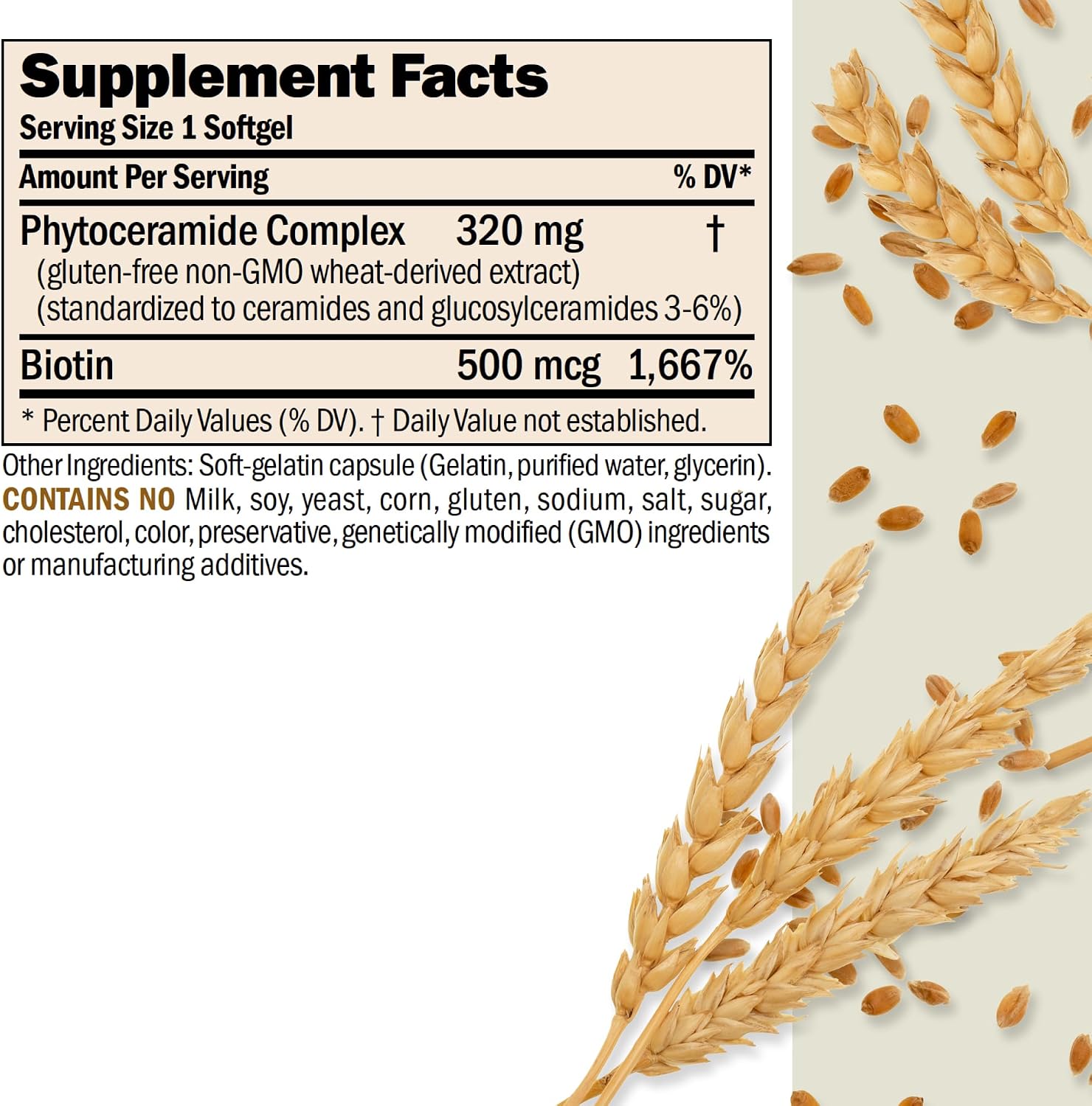 ANDREW LESSMAN Phytoceramides Skin Supplement, 60 Capsules | Plant-derived phytoceramides help support skin hydration, elasticity and a healthy-looking complexion from within.