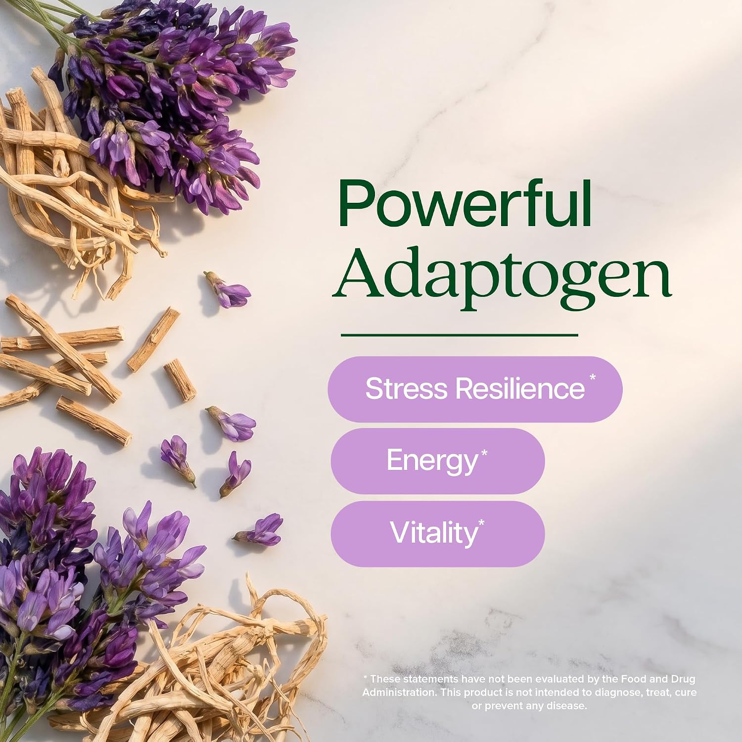 Astragalus Root, 8 Month Supply, Immune Support, 20:1 Astragalus Extract | 20:1 Astragalus Extract, 70% Polysaccharides, High-Concentration Adaptogen Support for Energy & Vitality, Vegan, 250 Capsules