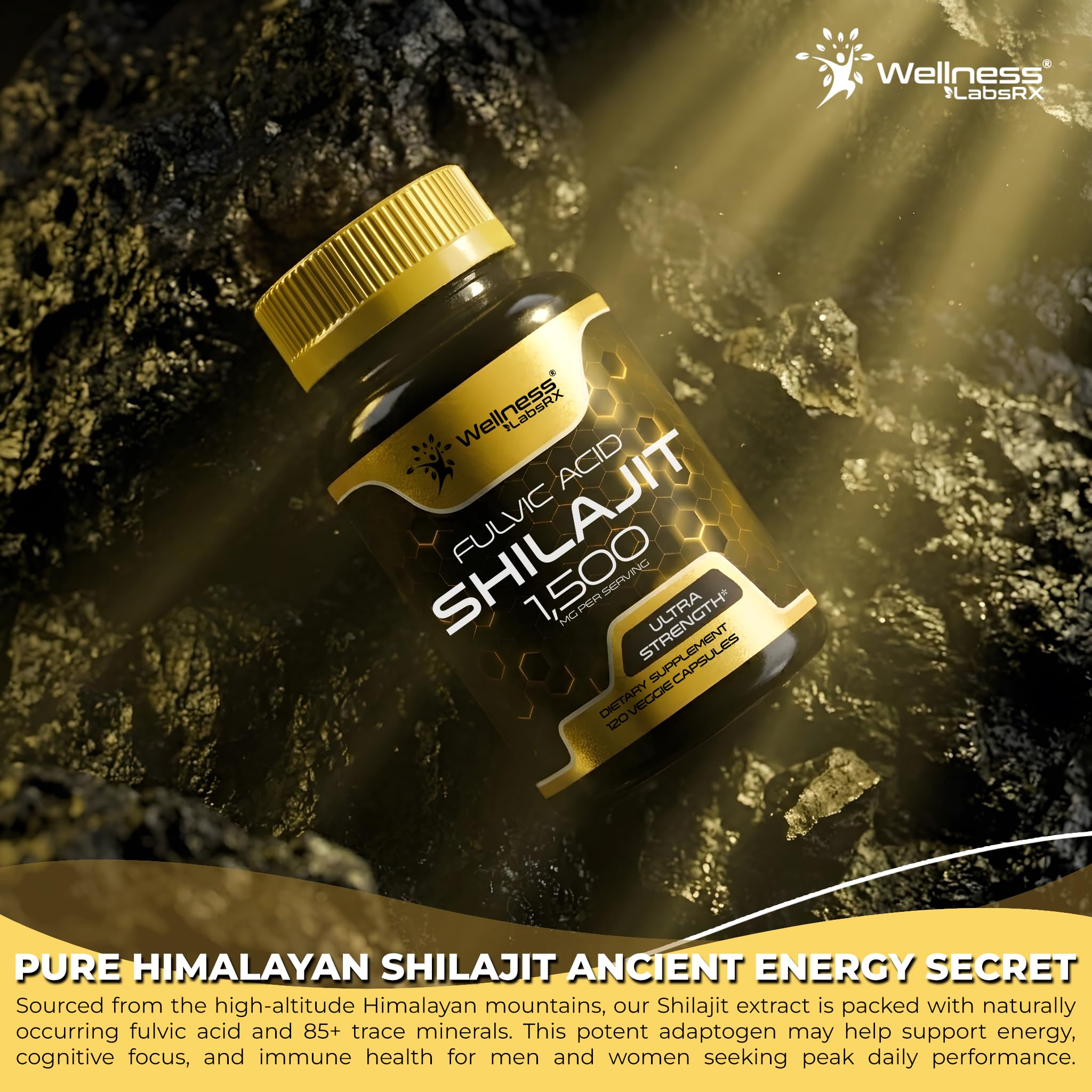 Himalayan Shilajit for Men - Shilajit Extract 1500mg per Serving, Pure Shilajeet for Women with Naturally Occuring Fulvic Acid - Shilajet for Enhanced Energy and Immune Support - 120 Count (Pack of 2)