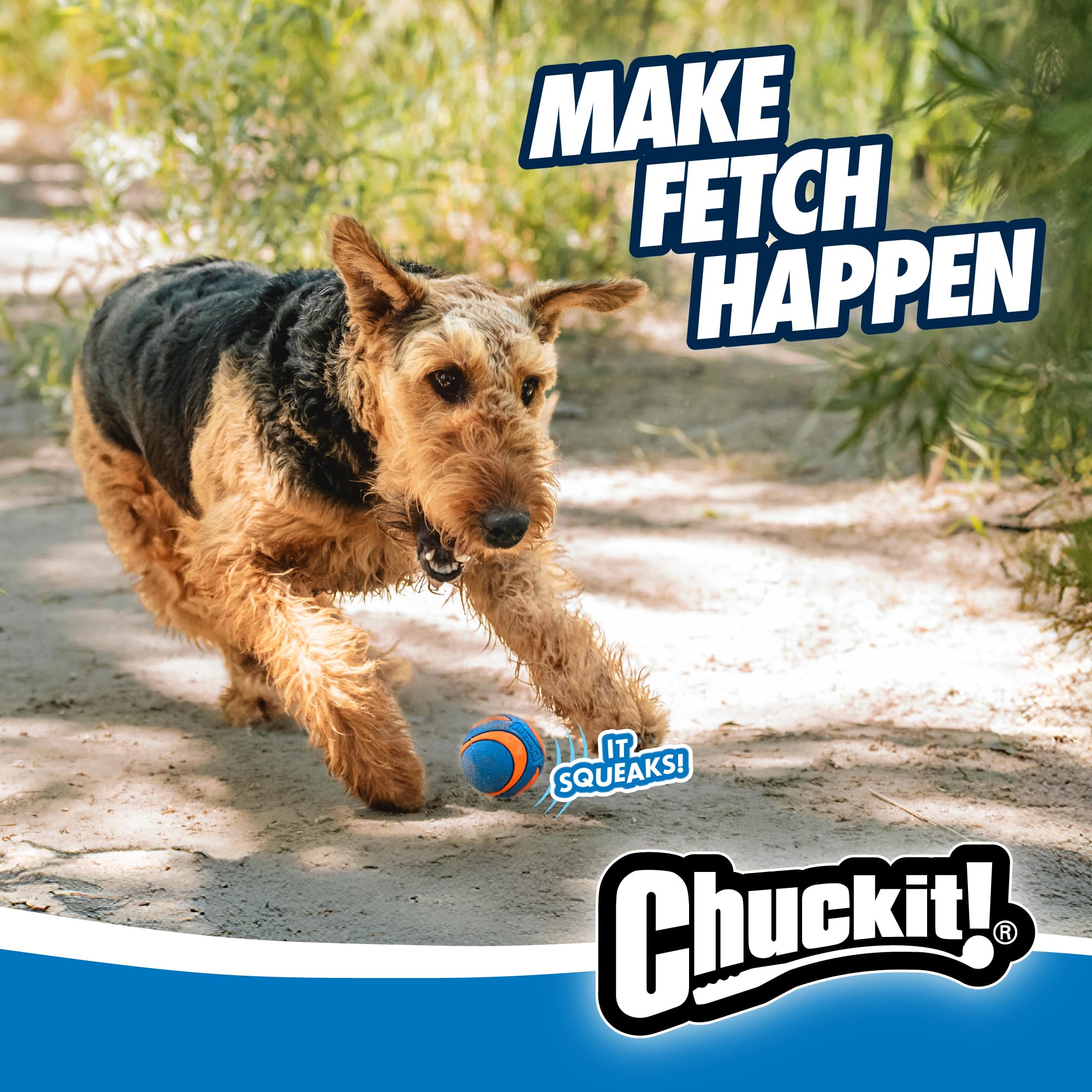 Chuckit! Ultra Ball Dog Toy - Medium Bouncy Fetch Balls For Dogs 20-60 lbs - Made from Durable Rubber - Floating Water Pet Toys - Size Medium - 2.5-inch Diameter - Pack of 2 | Bouncy durable rubber design for pups 20-60 lbs, high bounce action for active