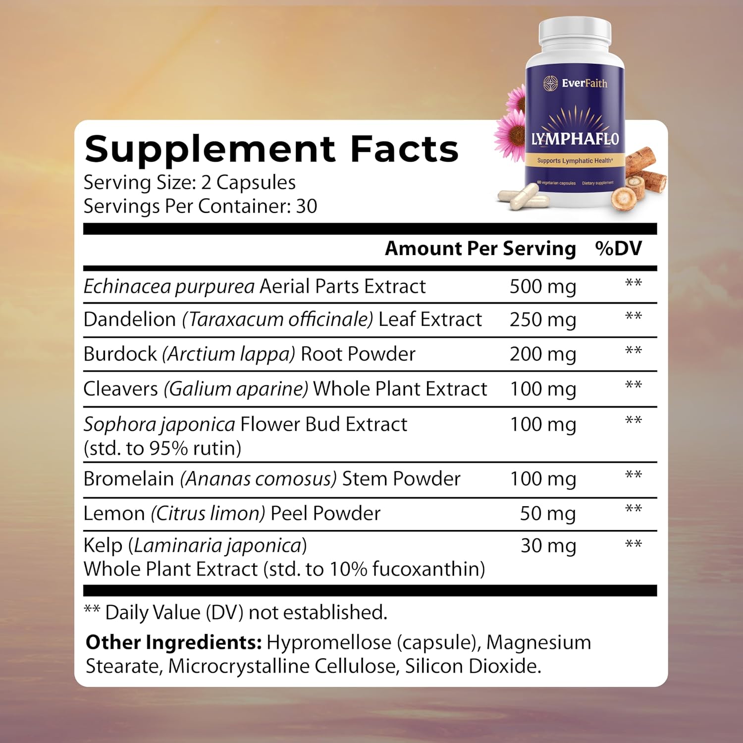 EVERFAITH LymphaFlo - Lymphatic Drainage Supplement - Lymph System Support - with Bromelain, Echinacea, Dandelion, Burdock Root, Lemon Powder & More - Vegetarian, Gluten Free, Non-GMO - 60 Capsules