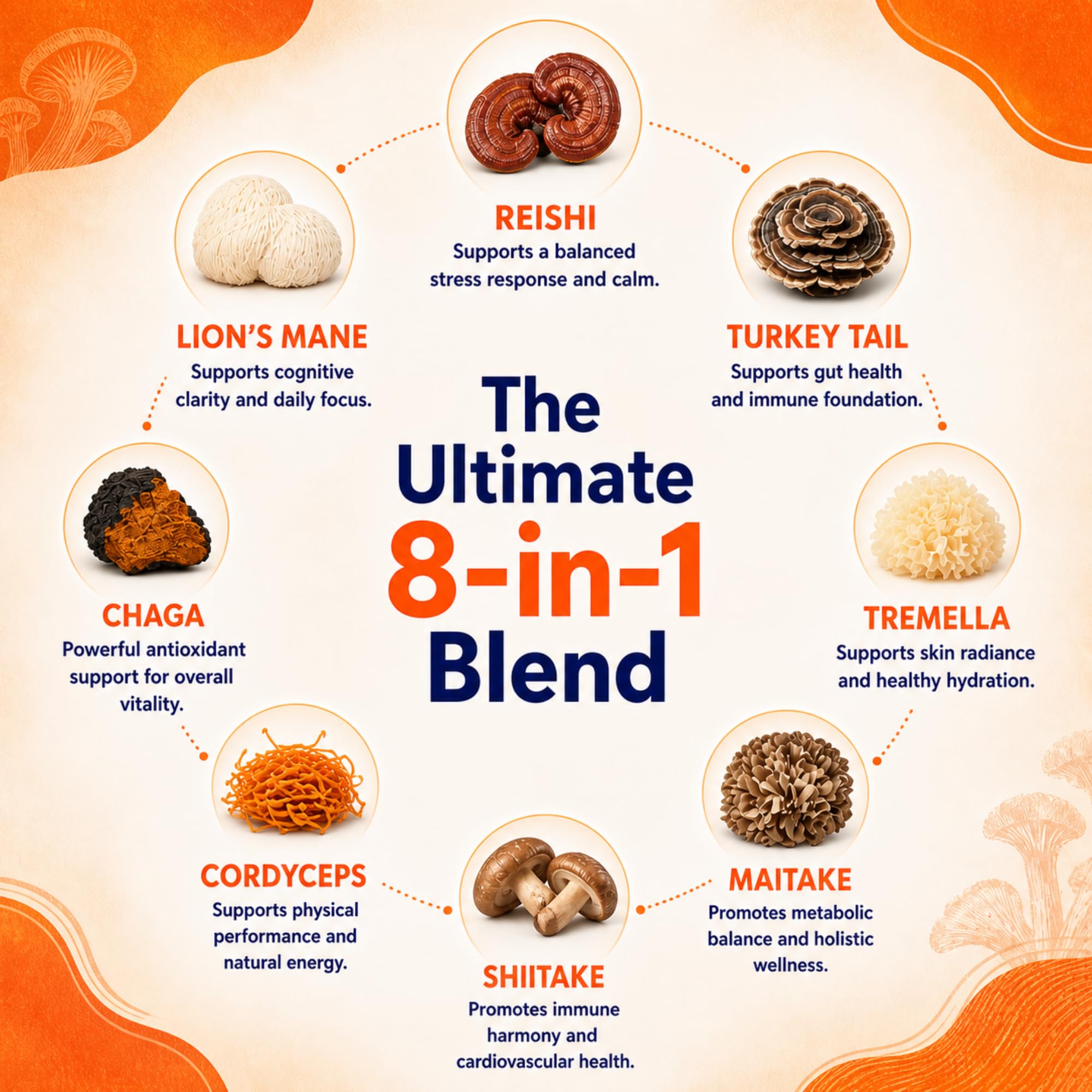 8-Mushroom Extract Powder by Malama, Organic Body Mushroom Blend Featuring Lion's Mane, Reishi, Cordyceps, Chaga, Turkey Tail, Superfood Adaptogenic