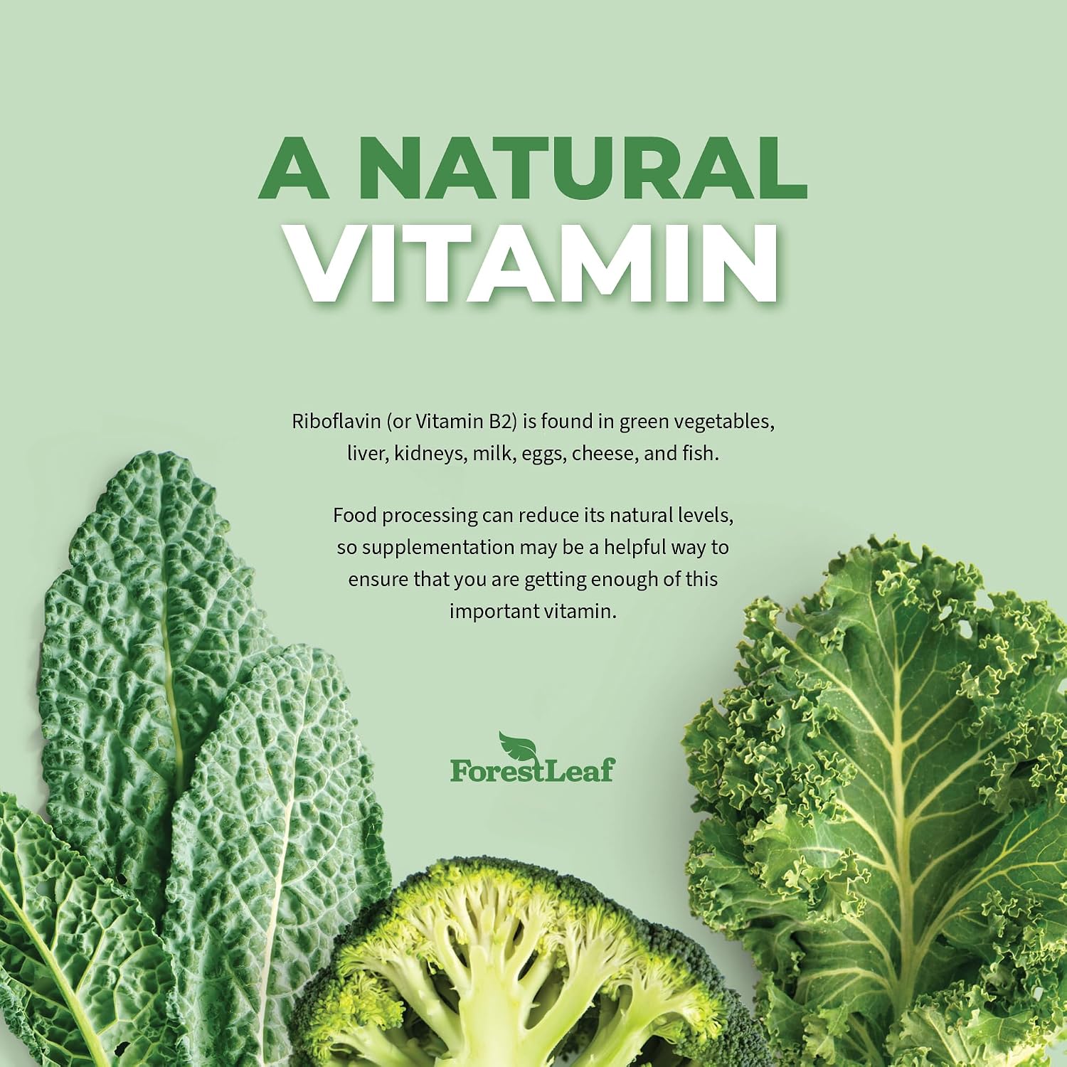 ForestLeaf Riboflavin & Magnesium Migraine Supplement - Riboflavin 400mg for Headache Relief - Ultimate Magnesium Glycinate Bundle with B2 Vitamin 400mg for Headache Migraine Relief Capsules