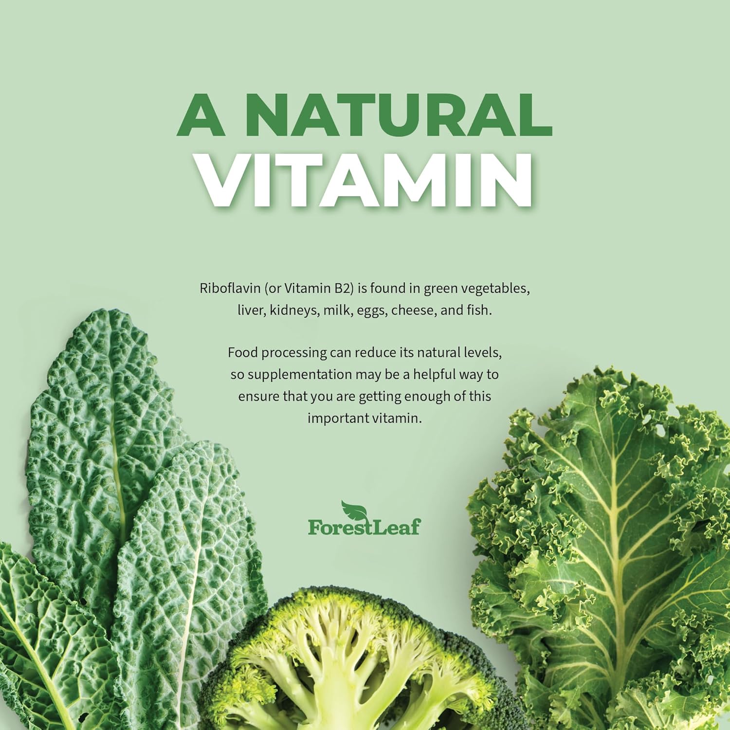 ForestLeaf Riboflavin & Magnesium Migraine Supplement - Riboflavin 400mg for Headache Relief - Ultimate Magnesium Bundle with B2 Vitamin 400mg for Headache Migraine Relief Capsules