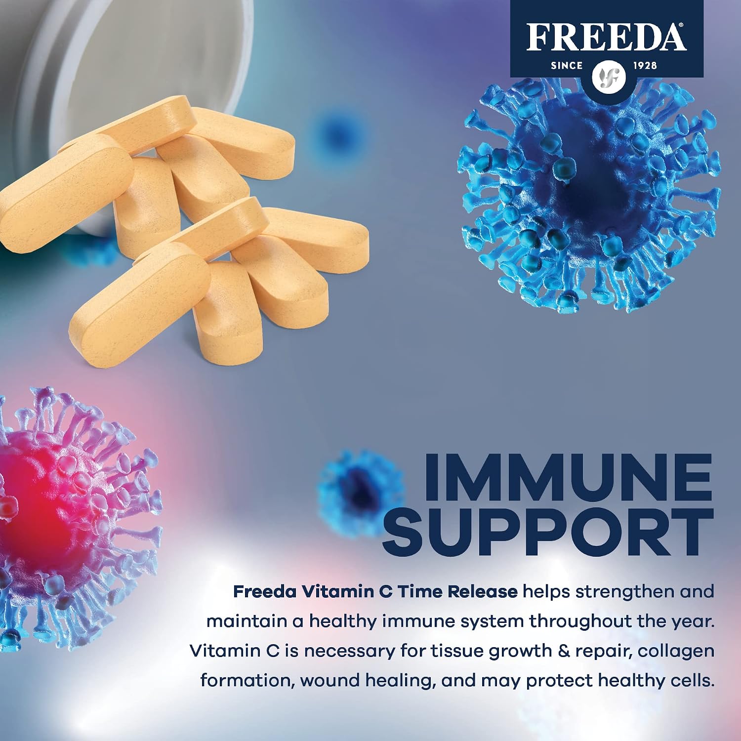 FREEDA Timed Release Vitamin C 1000mg – Slow-Release for All-Day Immune & Antioxidant Support, Gentle on Stomach, Kosher & Vegan, High-Absorption Tablets (100 Tablets) | Supports All-Day Immune & Antioxidant Defense – Promotes Collagen & Cell Health – Gen