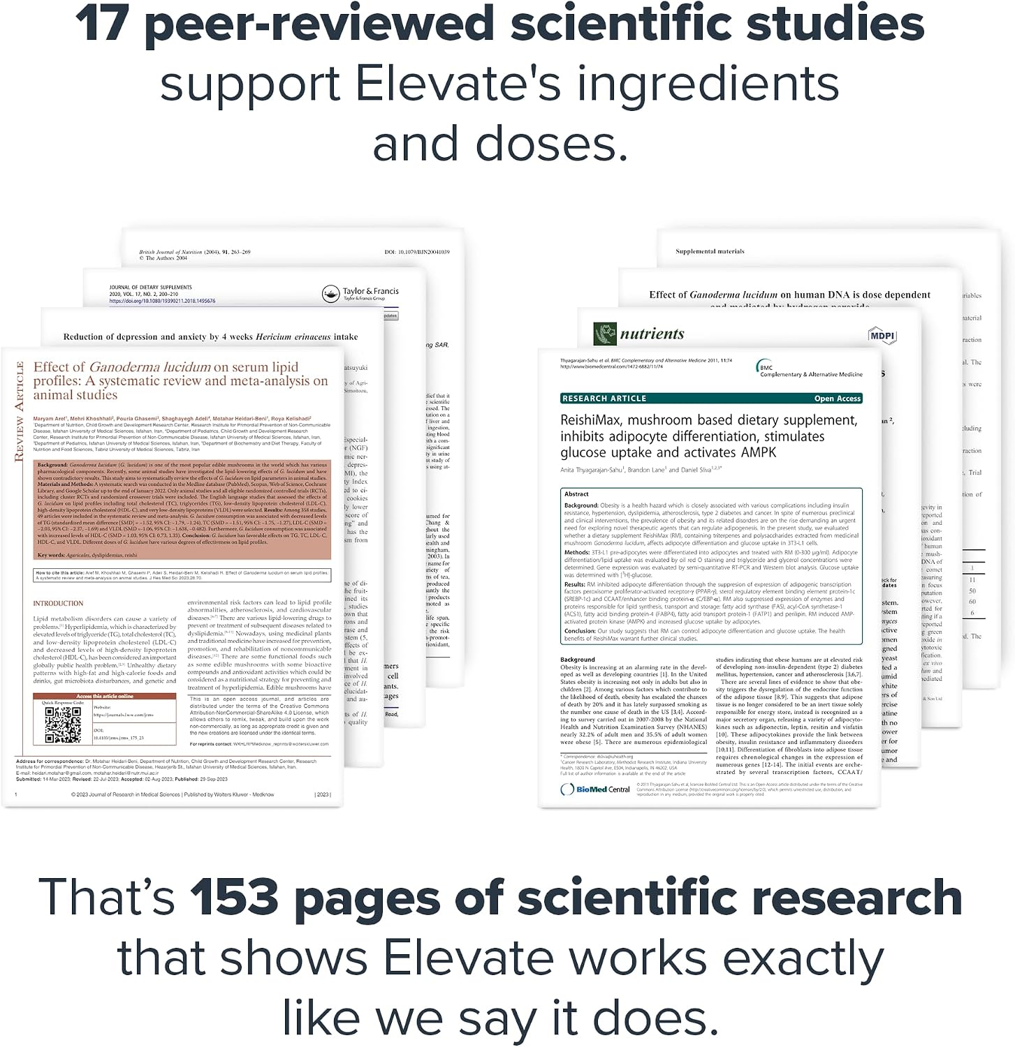 LEGION Elevate Mushroom Supplement Powder - Mushroom Blend of Lions Mane Powder, Reishi Powder & Beta-Glucan- Mushroom Powder to Boost Immune System, Mood & Performance Dutch Chocolate (30 Servings)