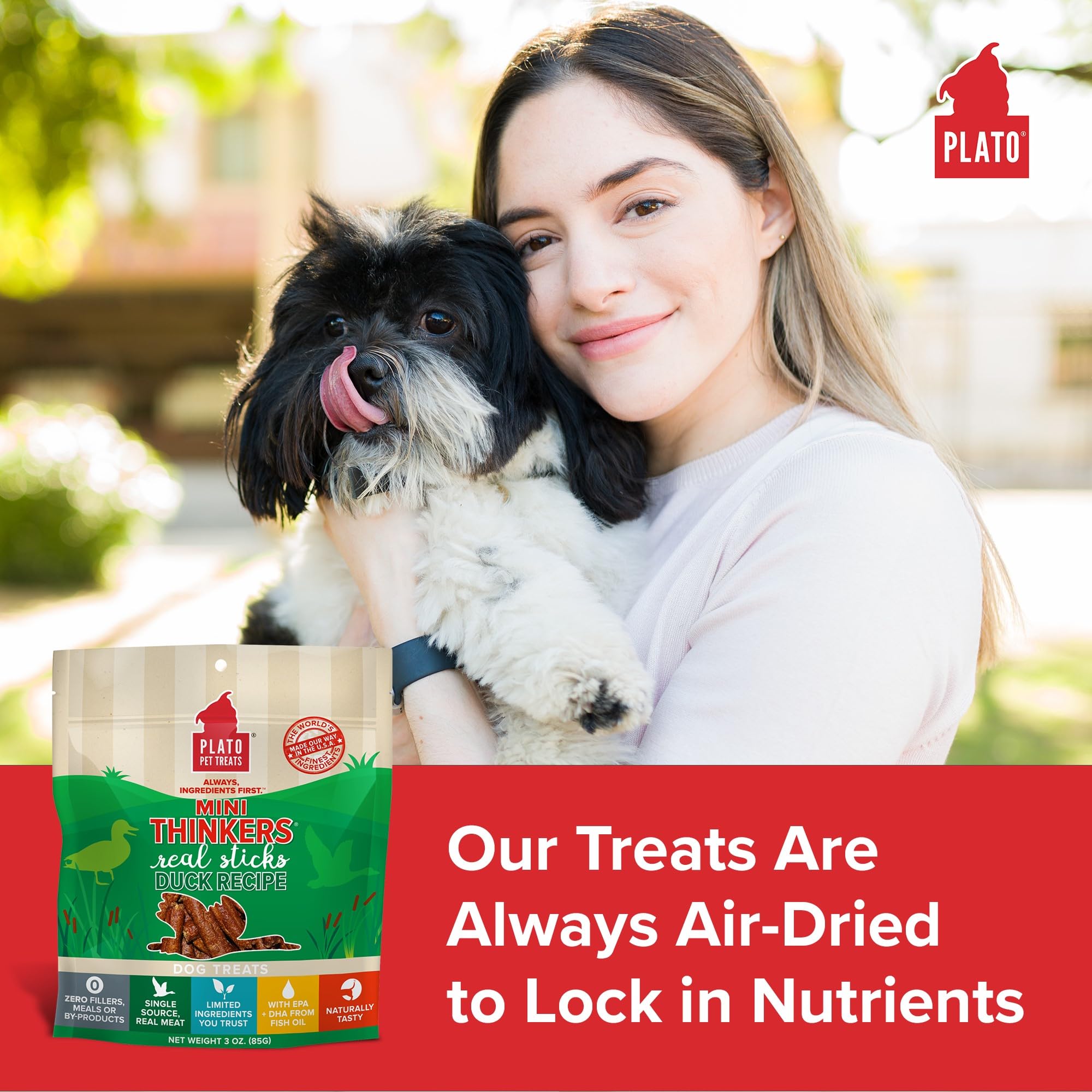 Plato Meat Sticks Salmon Dog Treats, Air-Dried High-Protein Soft Chews with Omega Fish Oil (EPA & DHA), 10 oz