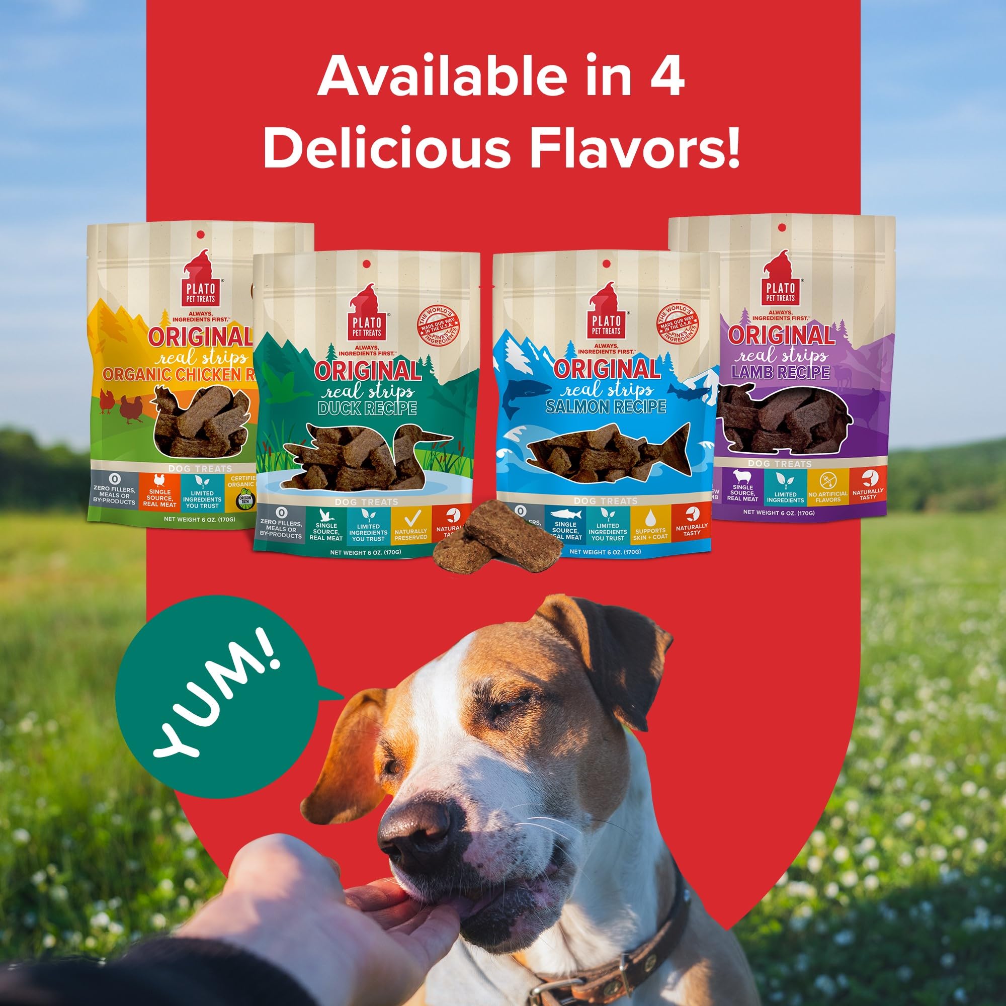 Plato Real Strips Salmon Recipe Dog Treats, Air-Dried High-Protein Soft Strips, Omega-Rich Skin & Coat Support, 18 oz