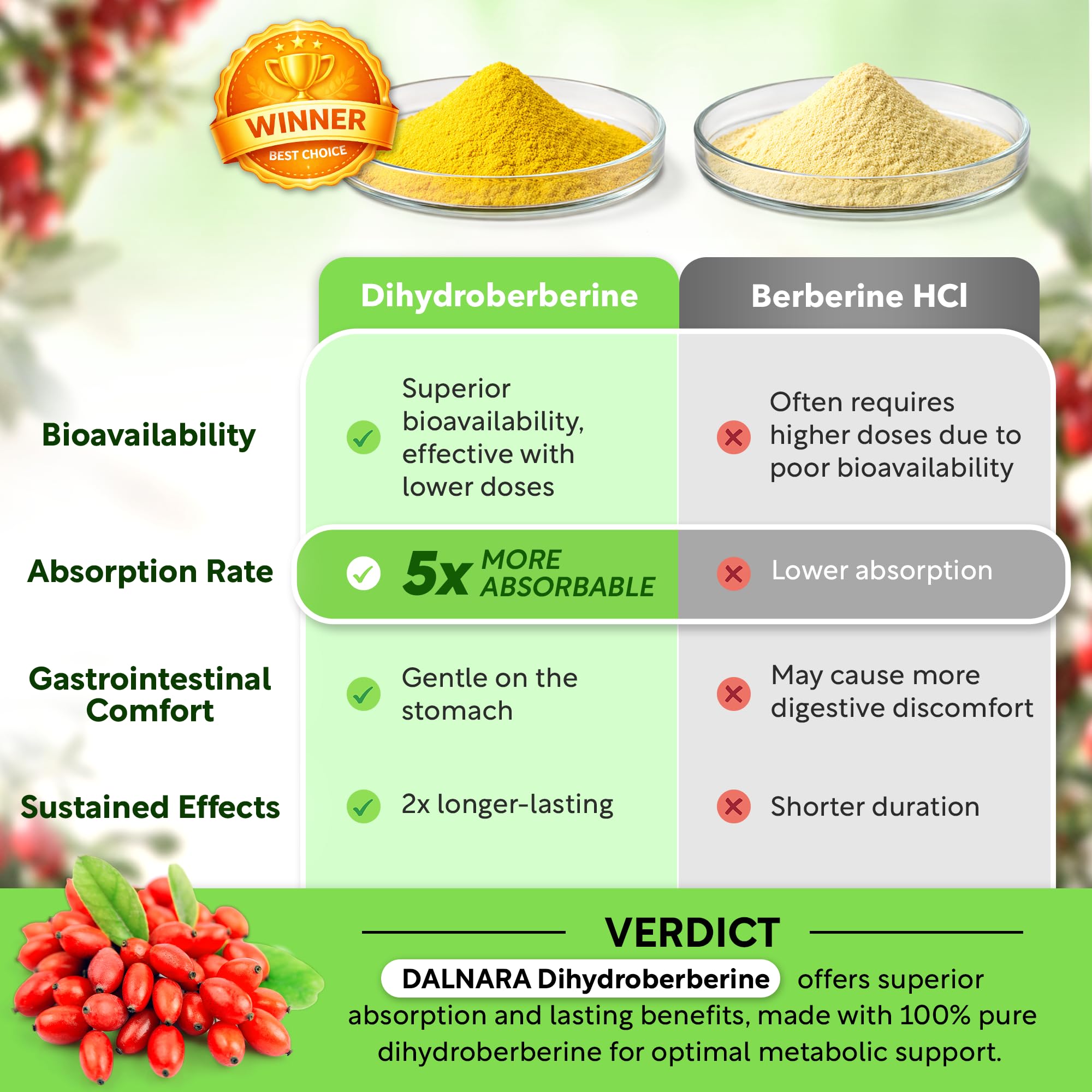 Dihydroberberine 250mg | GlucoVantage 30 days Supply | DHB supplement