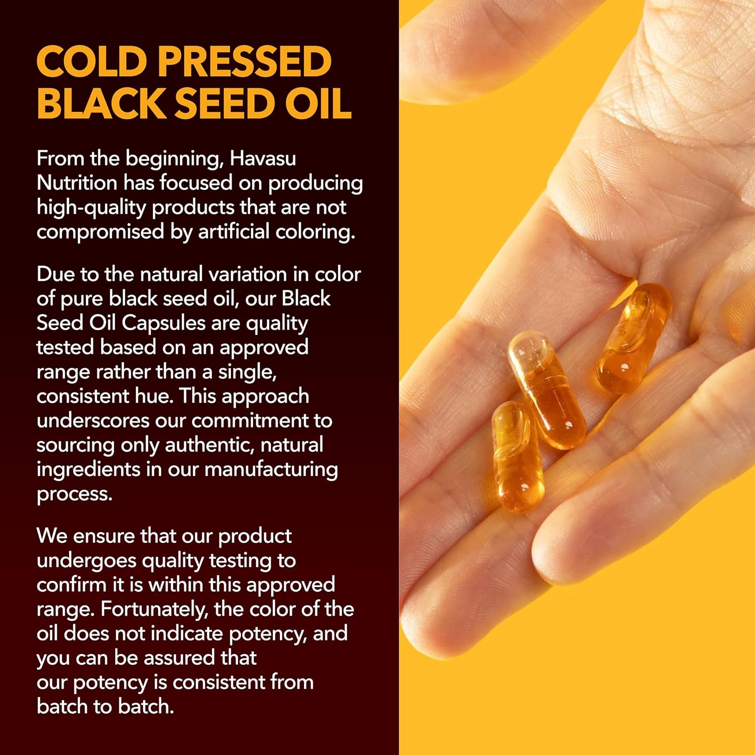 Black Seed Oil Capsules, Vegan, Non-GMO, Cold-Pressed Nigella Sativa, 90ct | 1500mg Per Serving Black Cumin Supplement for Skin Health, Immune Function, and Digestive Health, Unflavored, 30 Servings