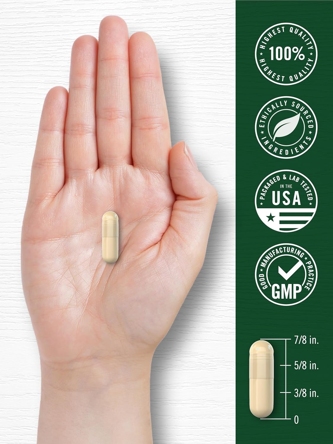 Carlyle Ceylon Cinnamon Capsules | 120 Count | Non-GMO & Gluten Free Supplement