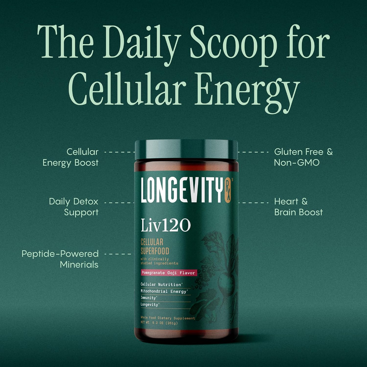 Liv120 Superfood Powder, Antioxidant Blend with Pomegranate, Turmeric, Mulberry, Soursop, Noni, Non-GMO, Vegan, for Energy, Detox, Immunity