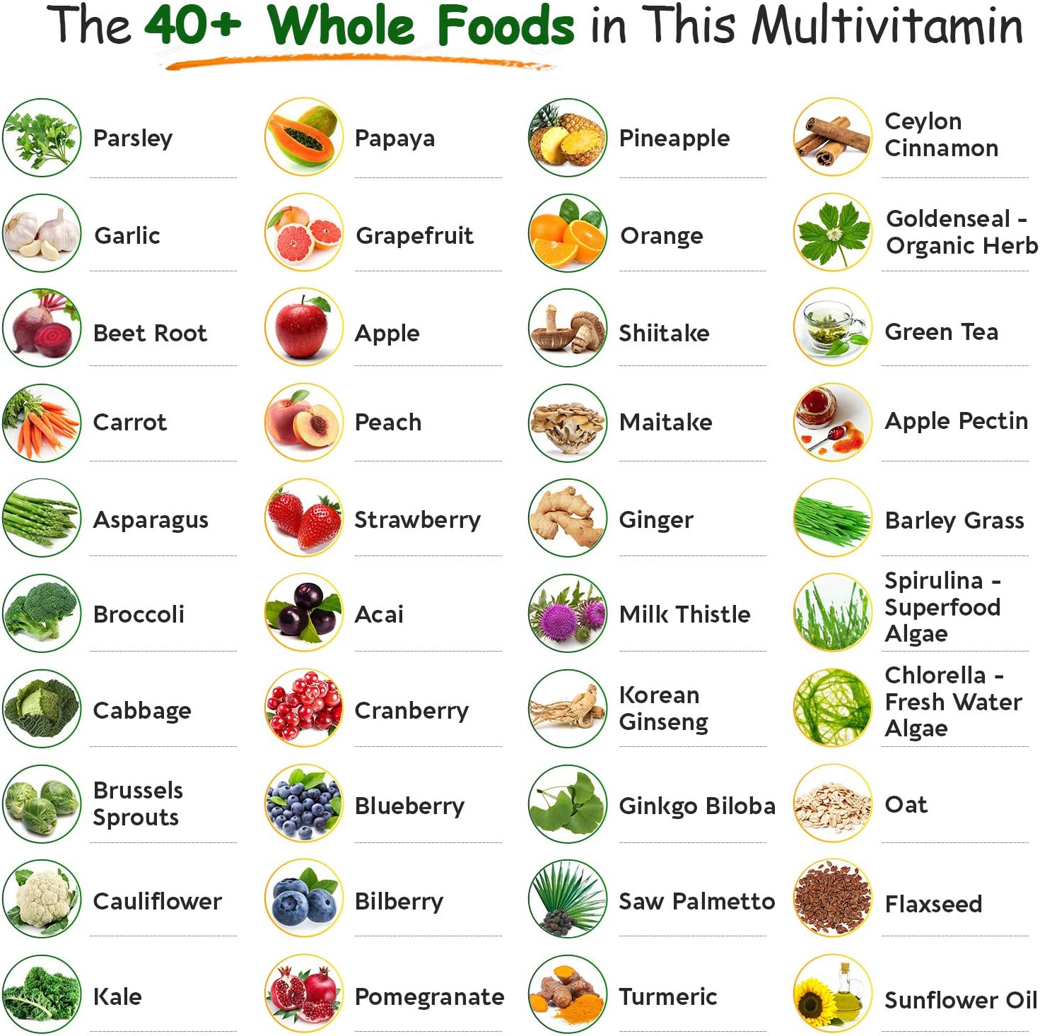 Wholesome Wellness Food Multivitamin for Men + Dr. Formulated Raw Probiotics for Women 100 Billion CFUs Bundle