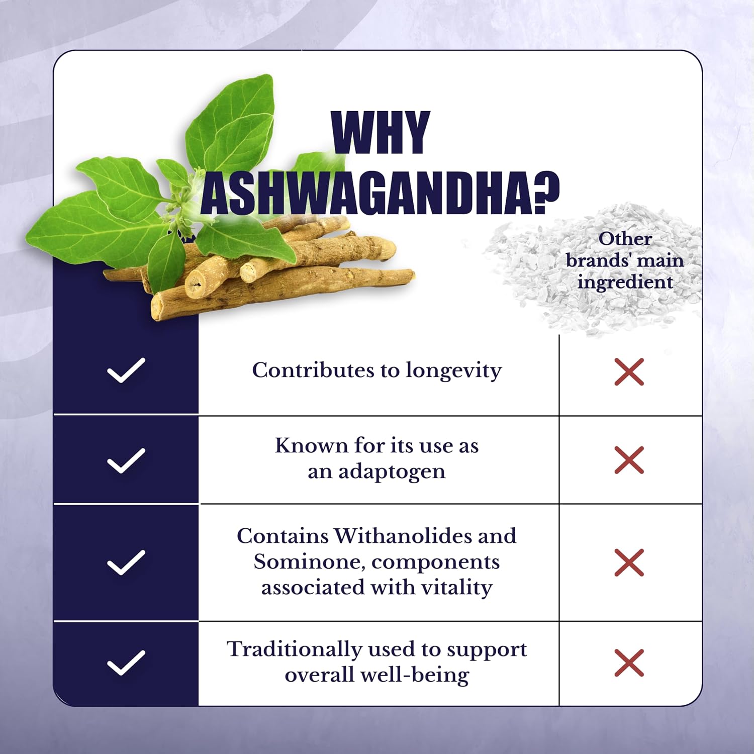 ActiveSpan | Longevity Supplements with Astragalus Root | Anti Aging Support, Ashwagandha, Cat's Claw & Cinnamon, for Women and Men, Vegan, 30 Days Supply, 60 Capsules