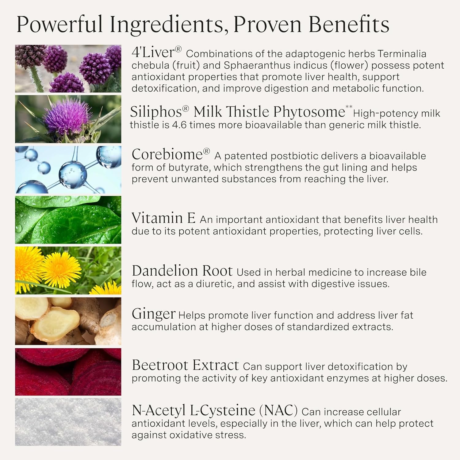 Stonehenge Health Dynamic Liver – Siliphos Milk Thistle Formula – Liver Support & Antioxidant Support, Gut-Liver Axis, Selenium, Zinc, Vitamin E, Ginger, Beetroot Extract Non-GMO, 60 Veg Caps (3 Pack)