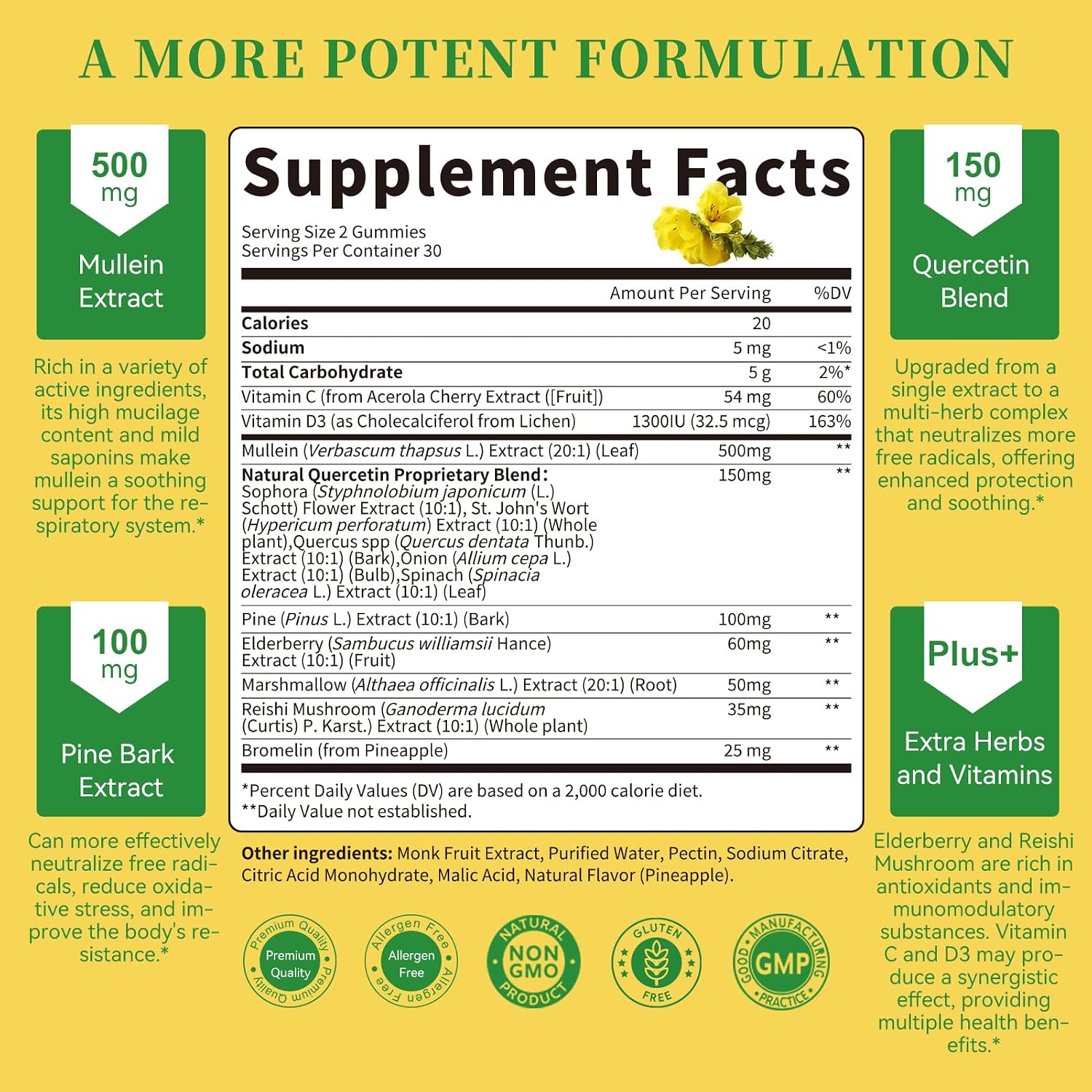 (2 Pack) Mullein Gummies for Lung Cleanse & Lymphatic Drainage* -120 Count | Extra Strength Mullein Leaf Extract w/Quercetin, Elderberry & Marshmallow for Respiratory & Immunity - for Women & Men-Vegan