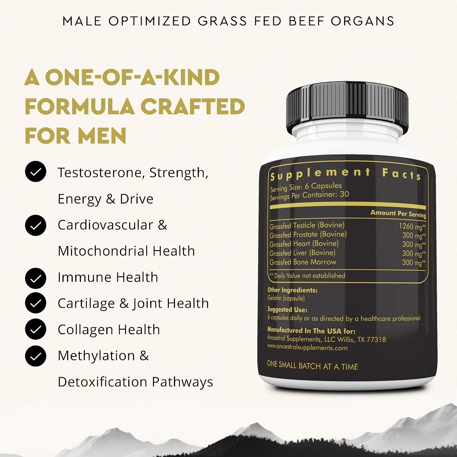 Ancestral Supplements MOFO & Chocolate Protein Bundle for Men – Supports Strength, Energy, Hormone Health & Recovery–Grass Fed Beef Organ Blend with 20g Protein, Gut Health Support & Organic Mushrooms