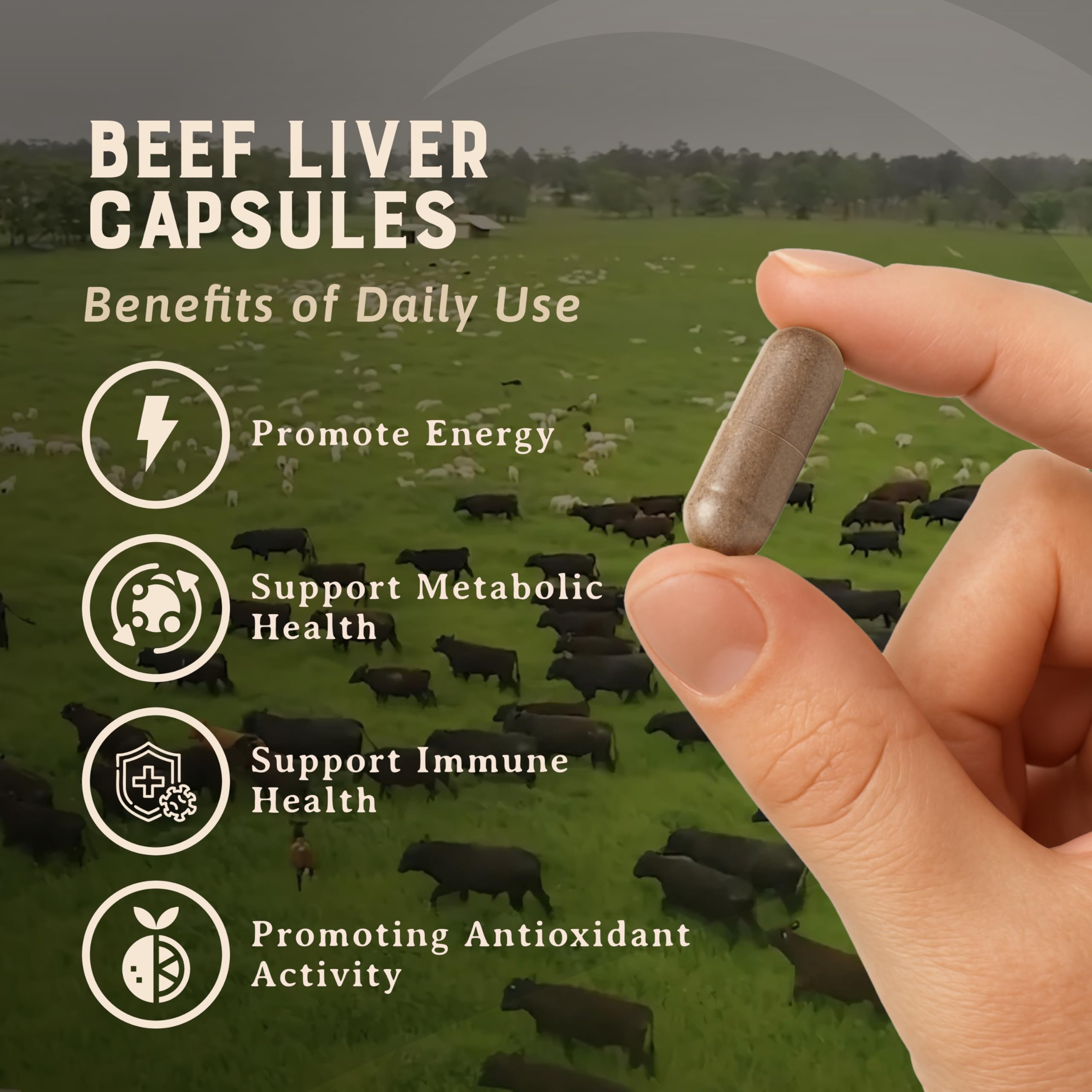 HEART & SOIL Beef Organs Supplement, 180 Capsules | 100% grass fed & finished from regenerative cattle with liver, heart, kidney, pancreas & spleen. 3000mg formula.