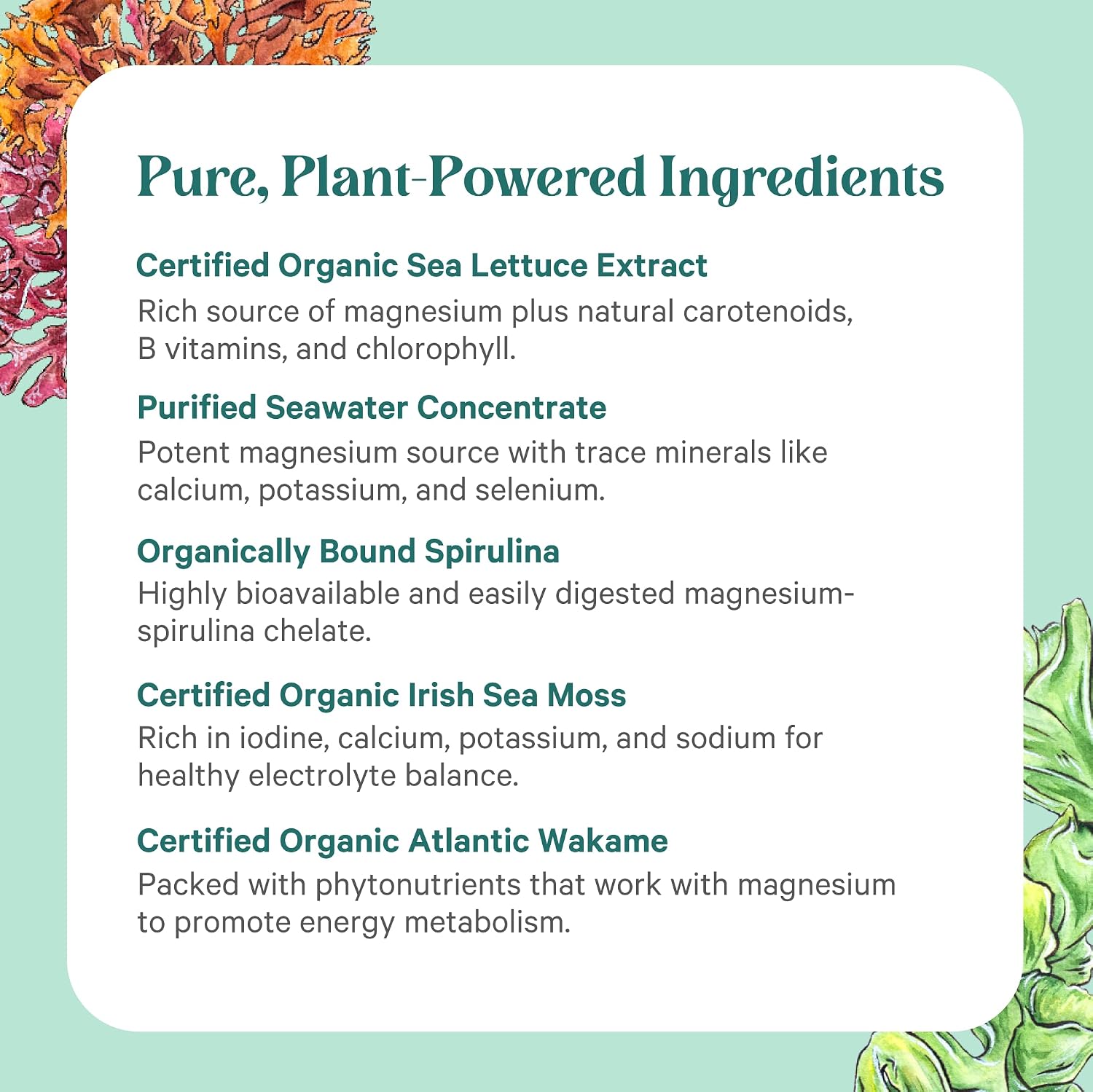PURE SYNERGY Vital Ocean Magnesium | Organic Magnesium Supplement Capsules | Vegan, Seaweed-Based Complex with Spirulina, Chlorella, & Wakame | for Energy, Sleep, & Stress (60 Capsules)